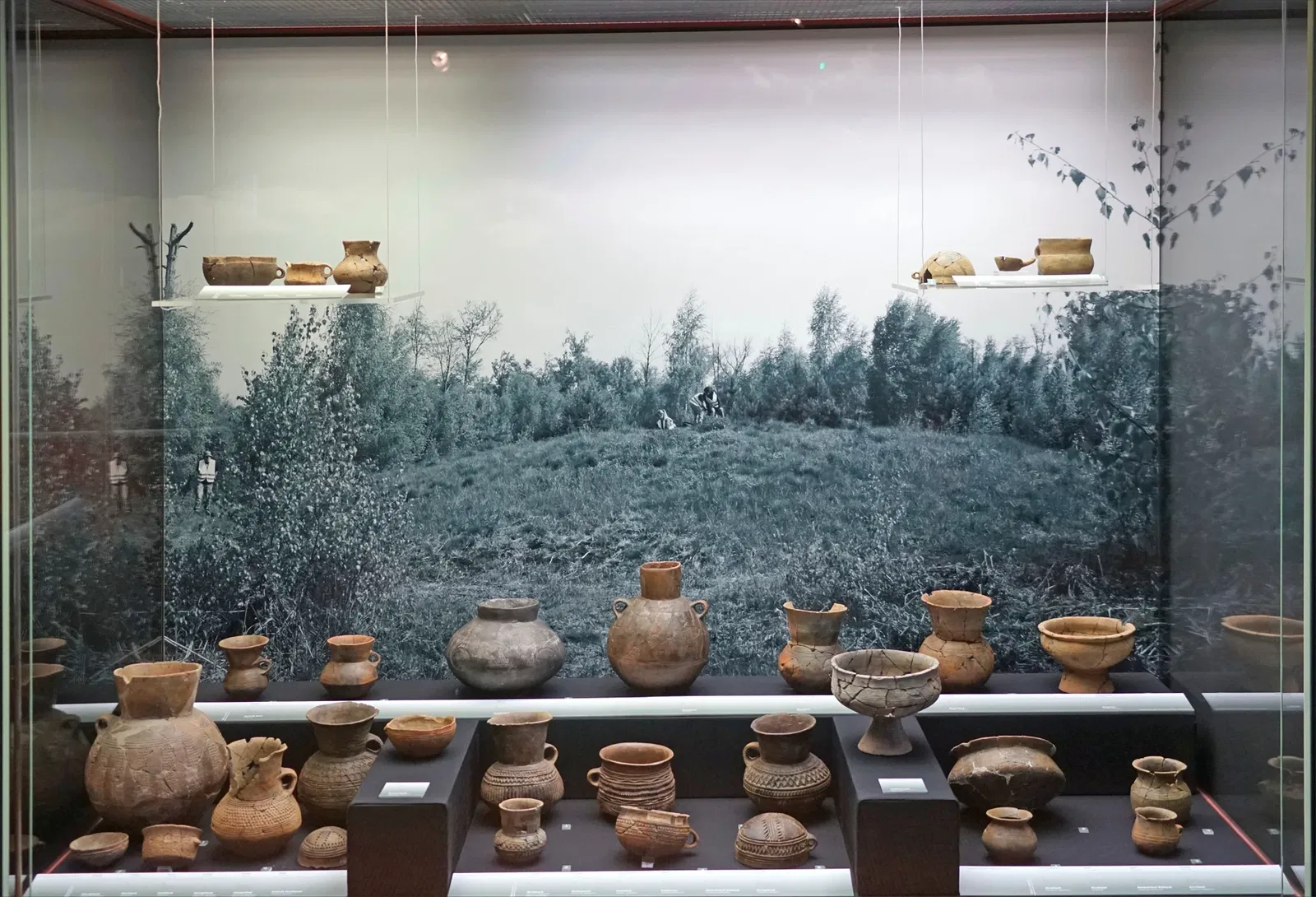 Musée historique de Haguenau