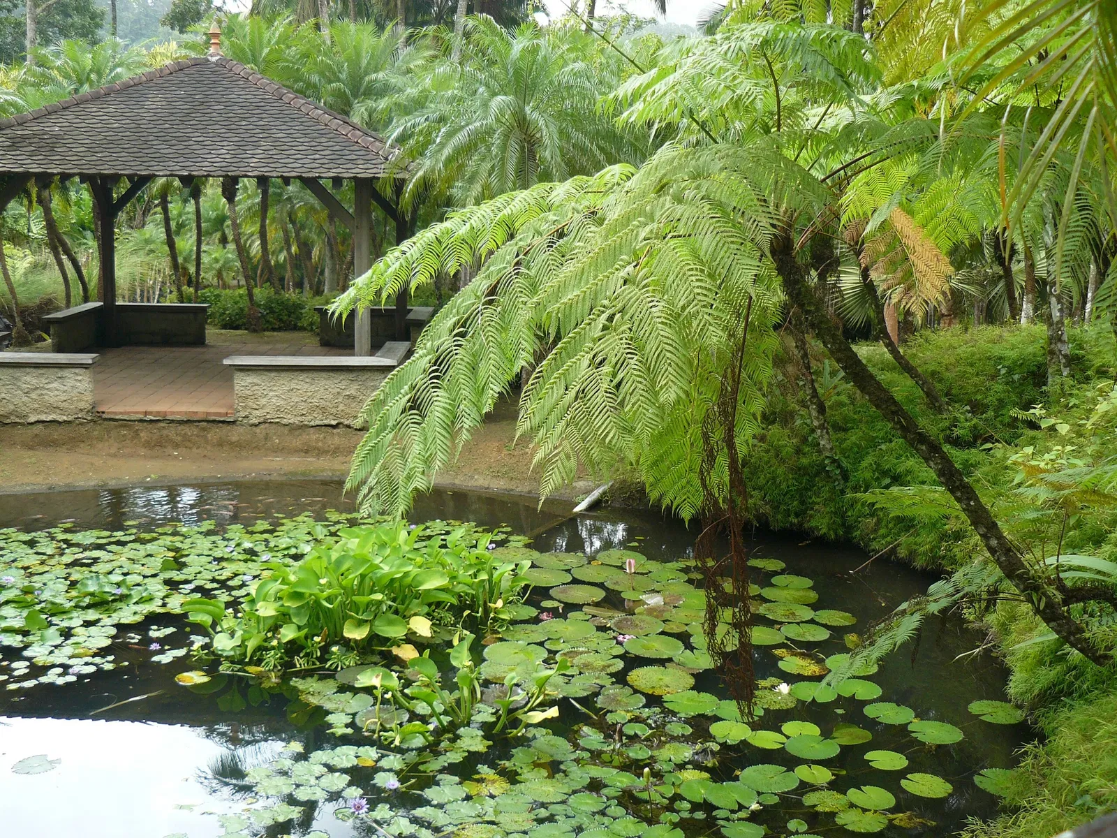 Jardín de Balata