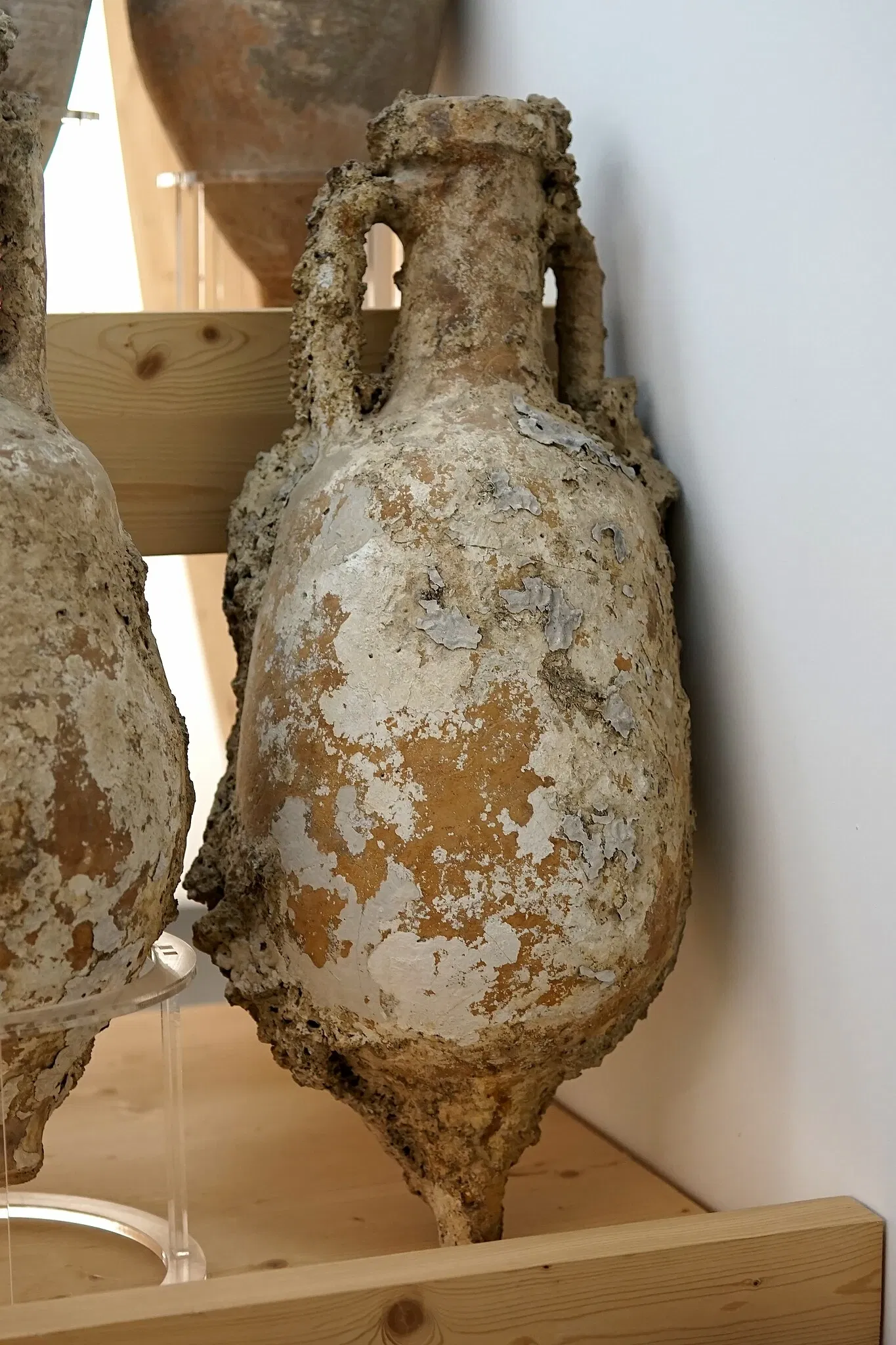 Museo Sigismondo Castromediano