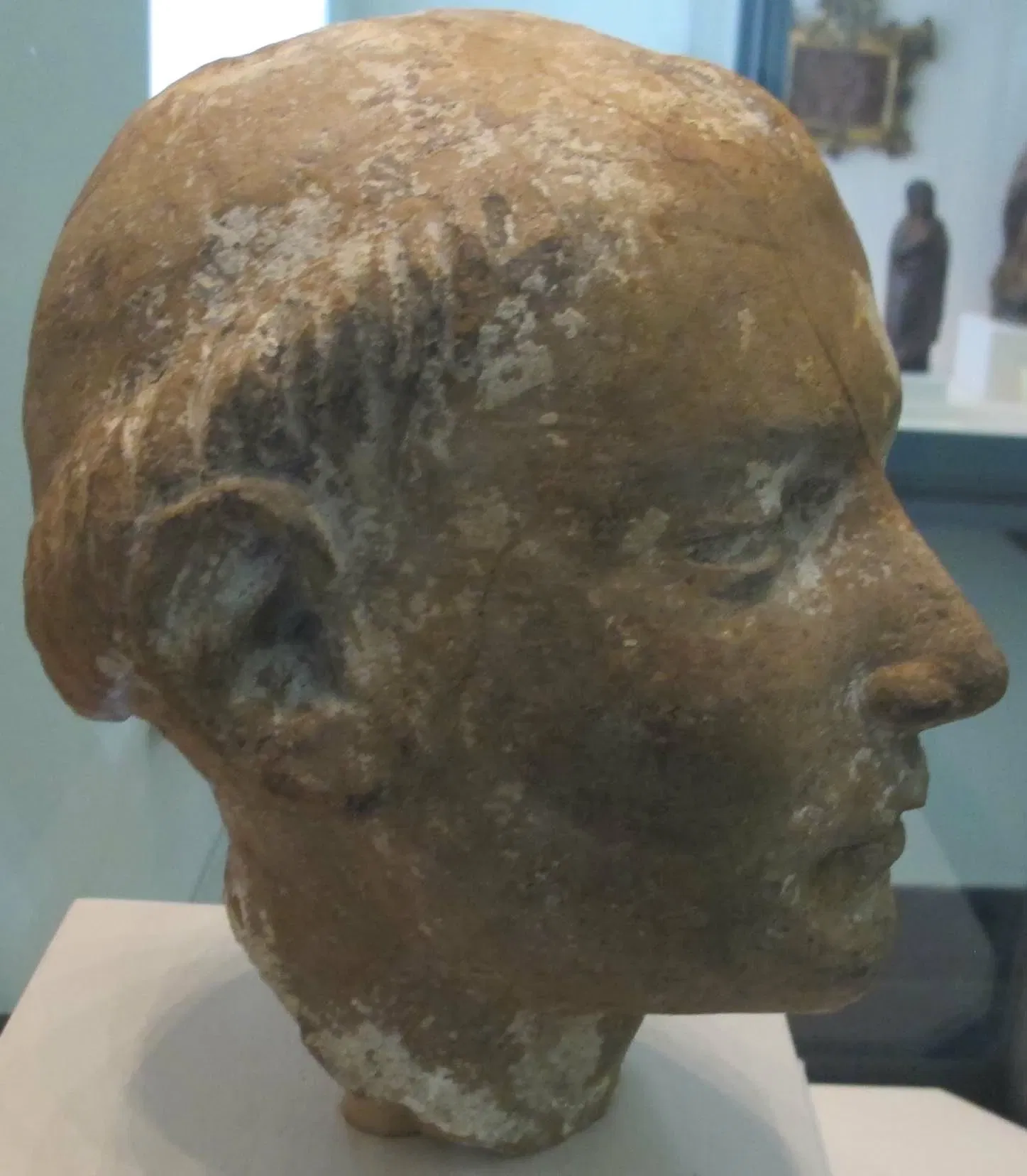 Museo Civico Amedeo Lia