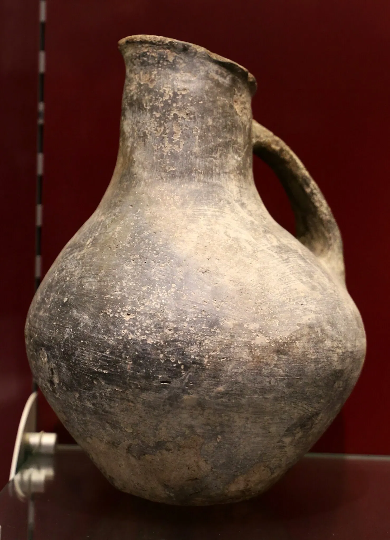 Museo della Città di Livorno