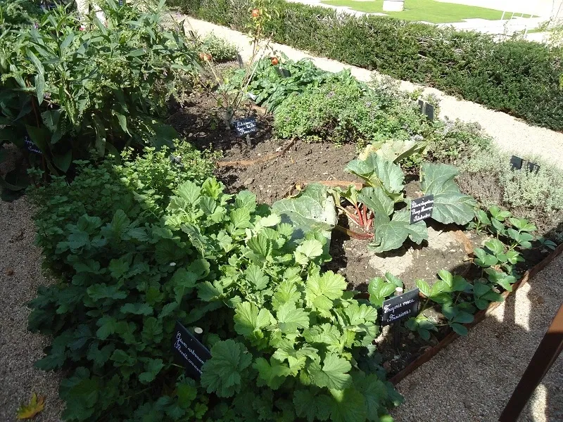 Earthenware and Fine Arts Museum