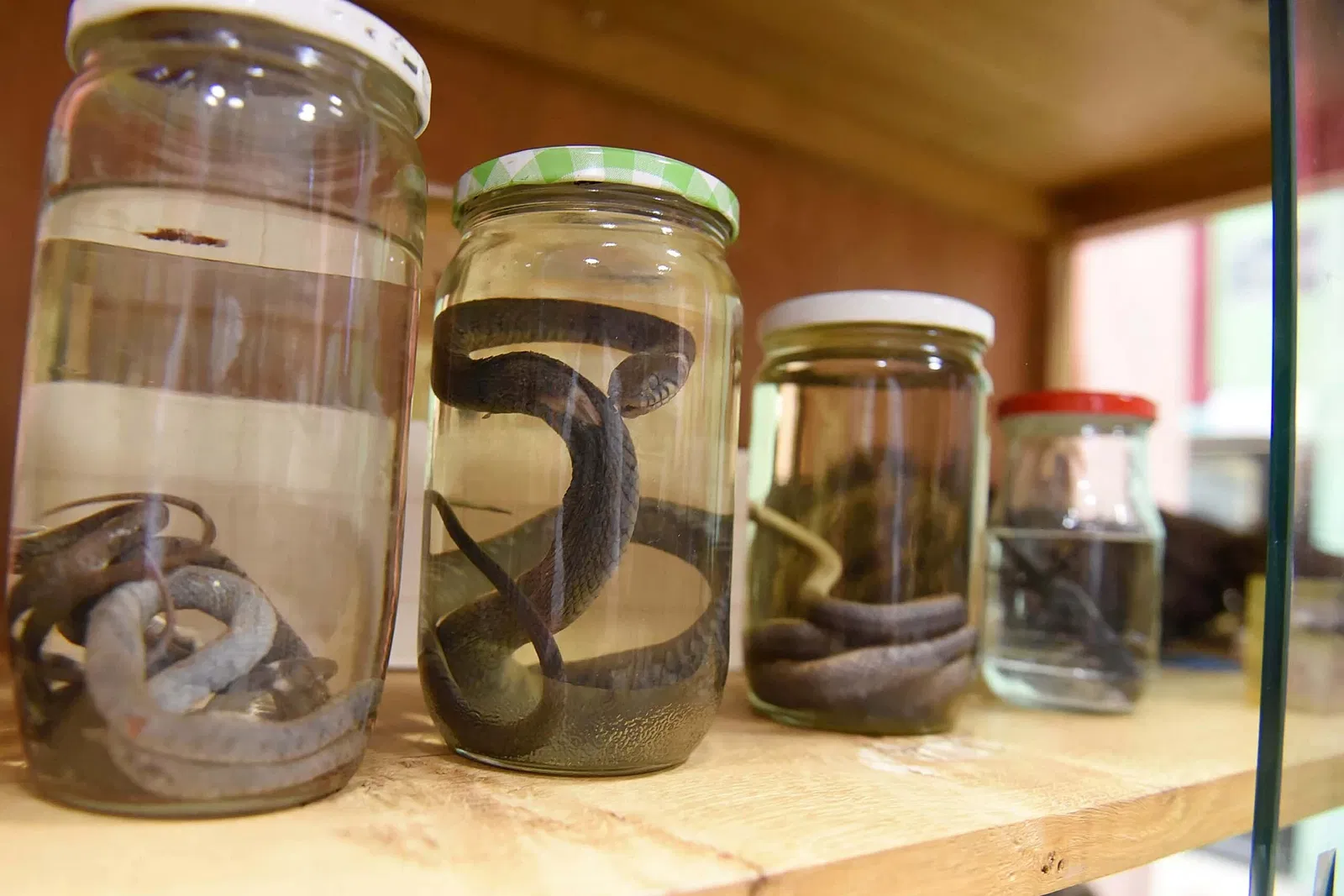 Education Museum of Nevers