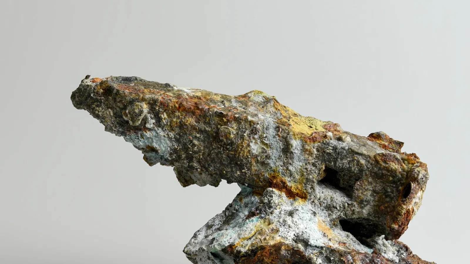 MUSE - Museo delle Scienze di Trento