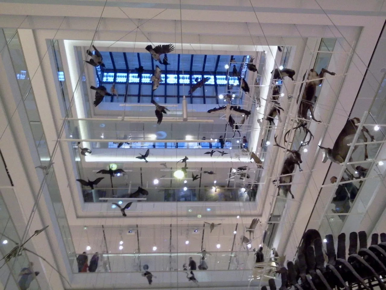 MUSE - Museo delle Scienze di Trento