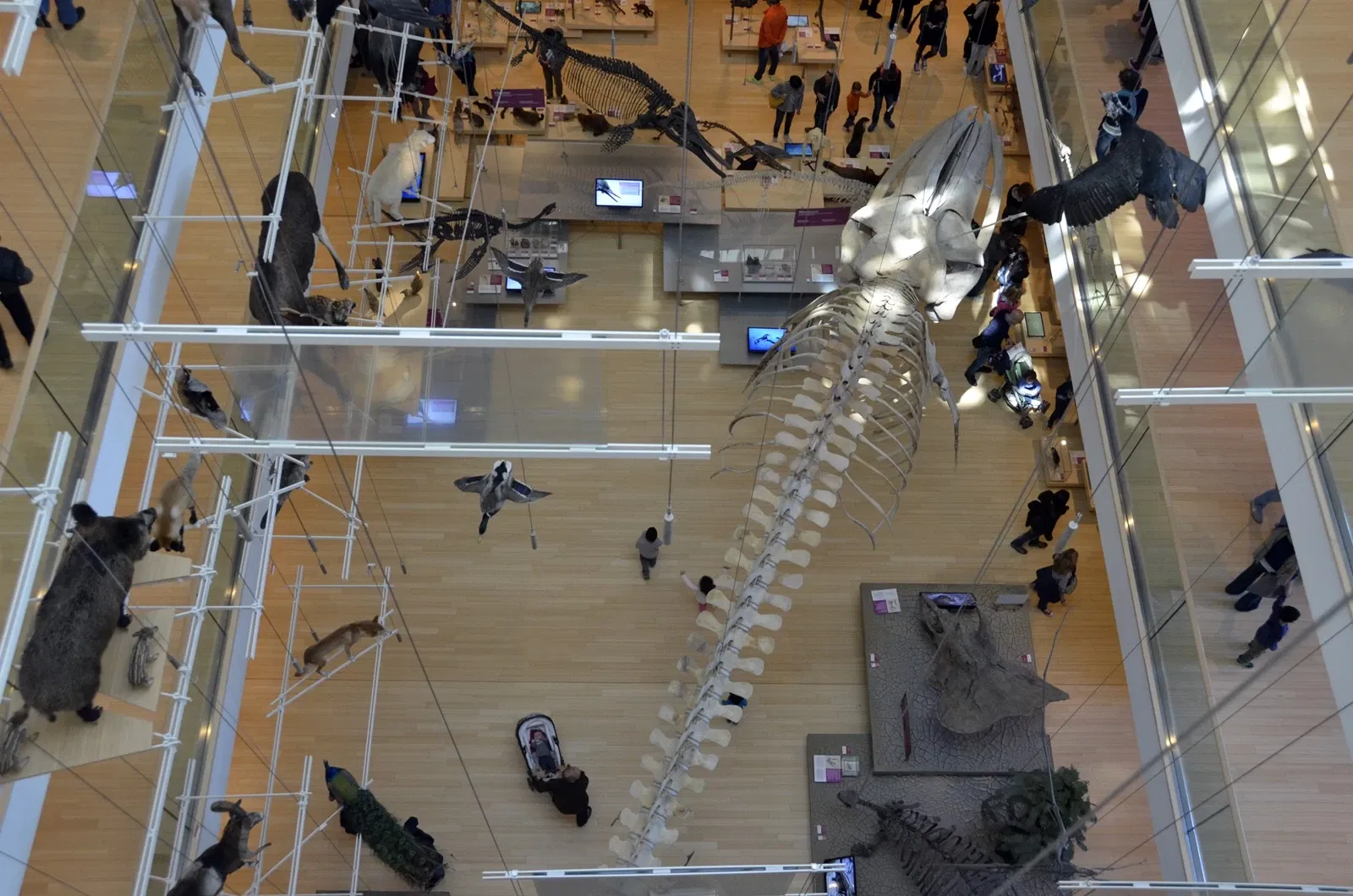 MUSE - Museo delle Scienze di Trento