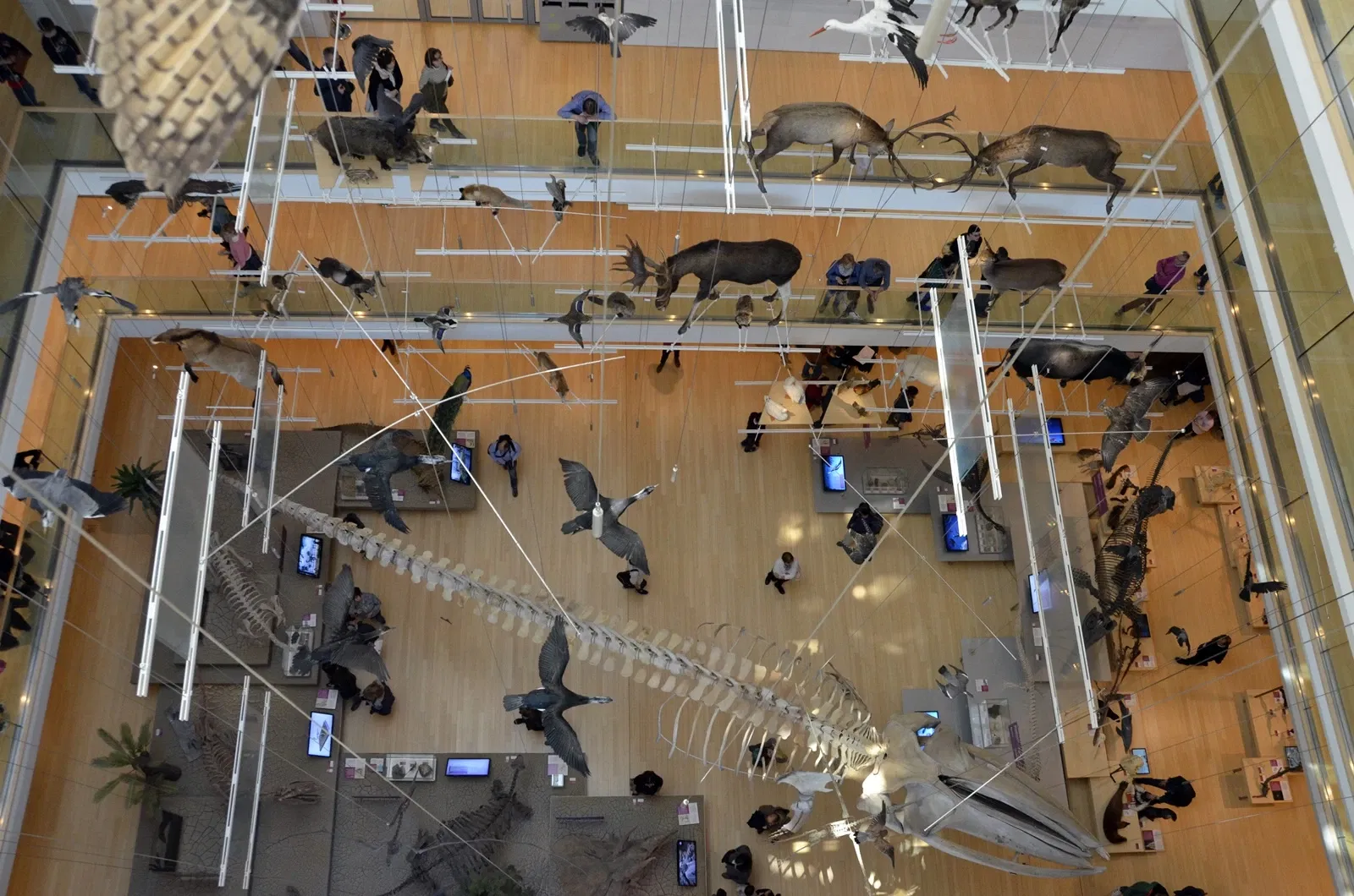 MUSE - Museo delle Scienze di Trento