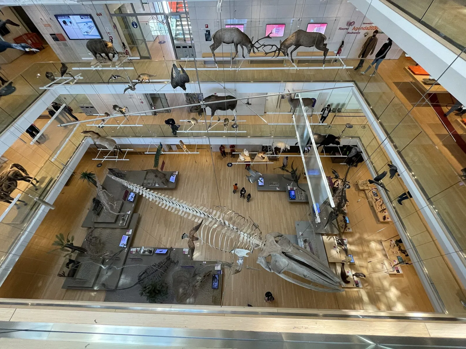 MUSE - Museo delle Scienze di Trento