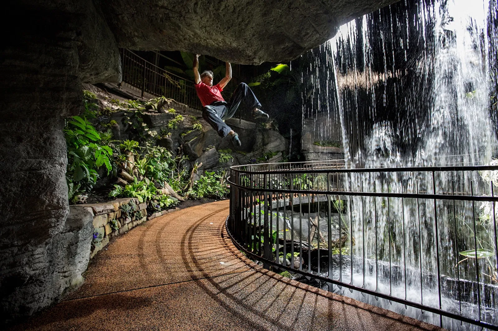 MUSE - Museo delle Scienze di Trento
