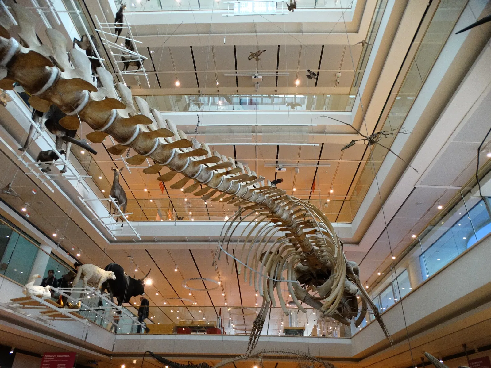 MUSE - Museo delle Scienze di Trento