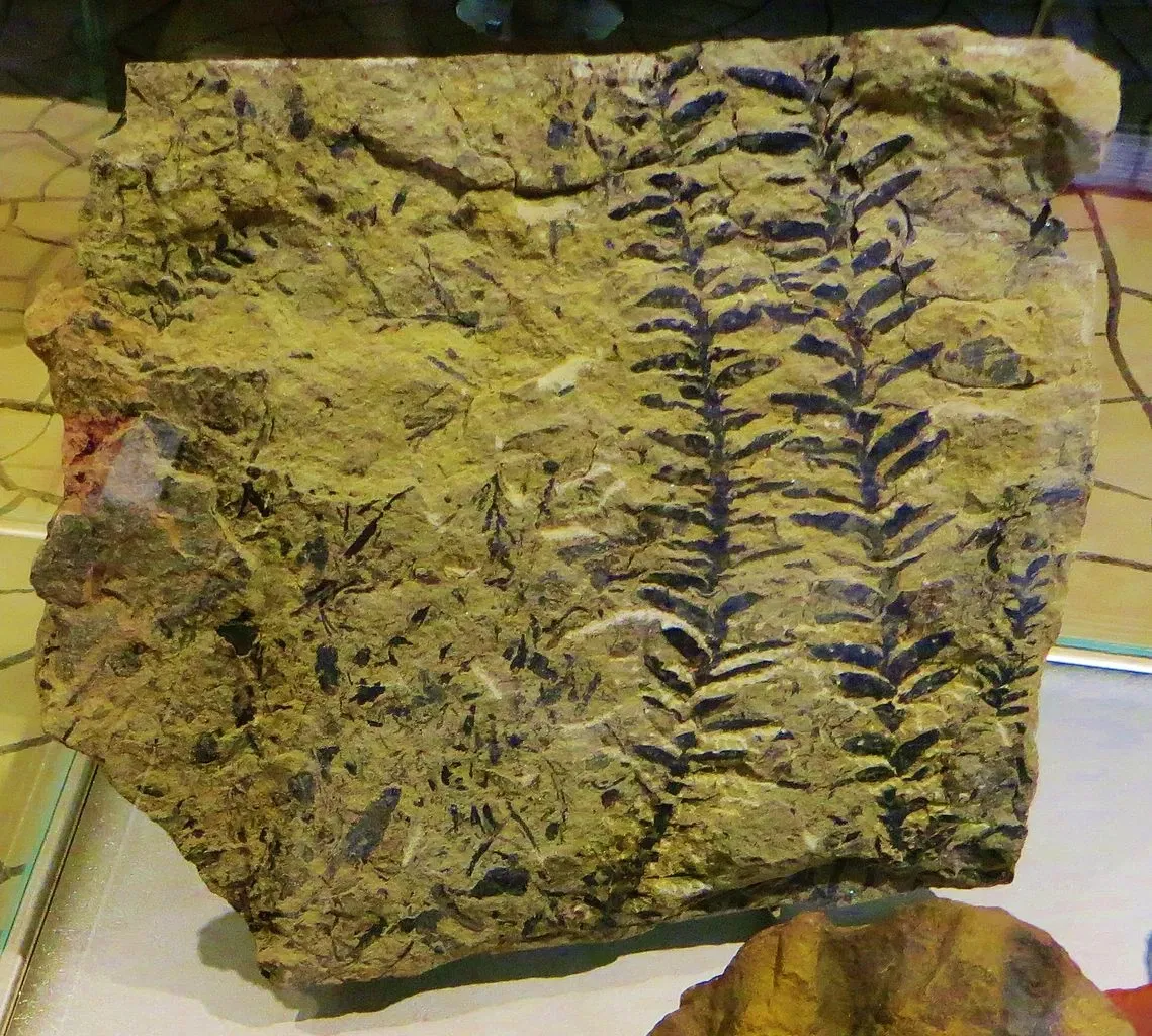 MUSE - Museo delle Scienze di Trento