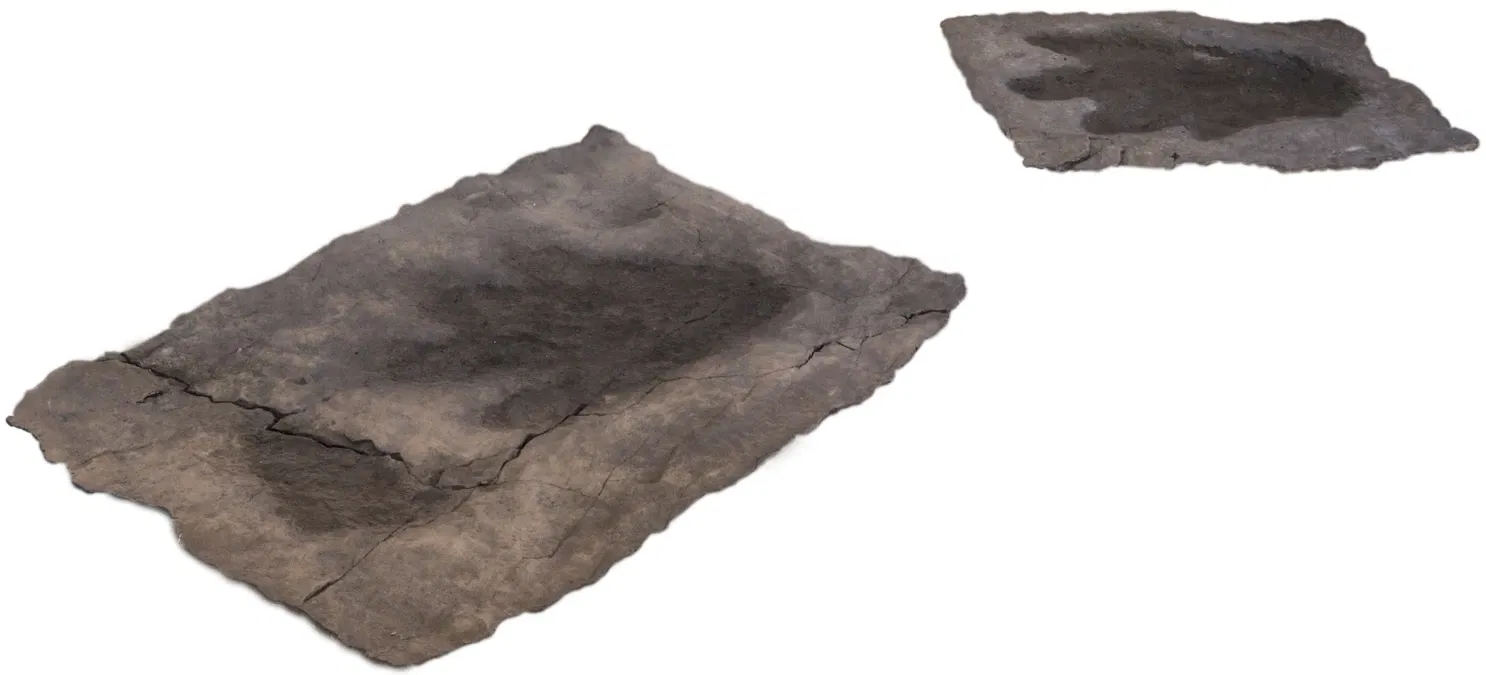 MUSE - Museo delle Scienze di Trento