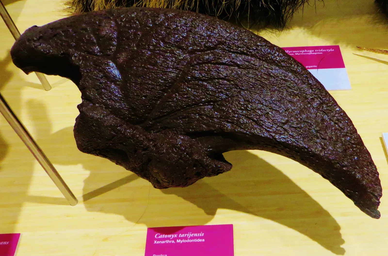 MUSE - Museo delle Scienze di Trento