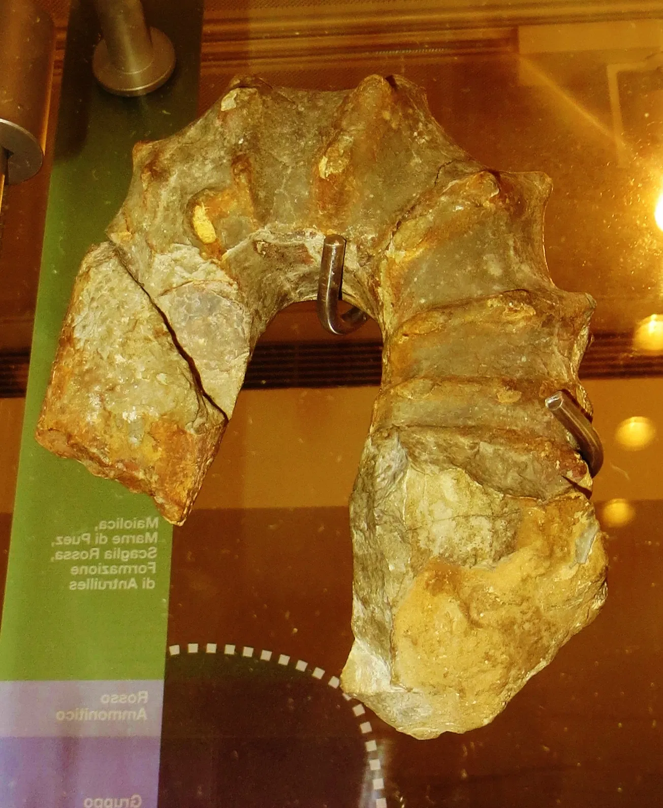 MUSE - Museo delle Scienze di Trento