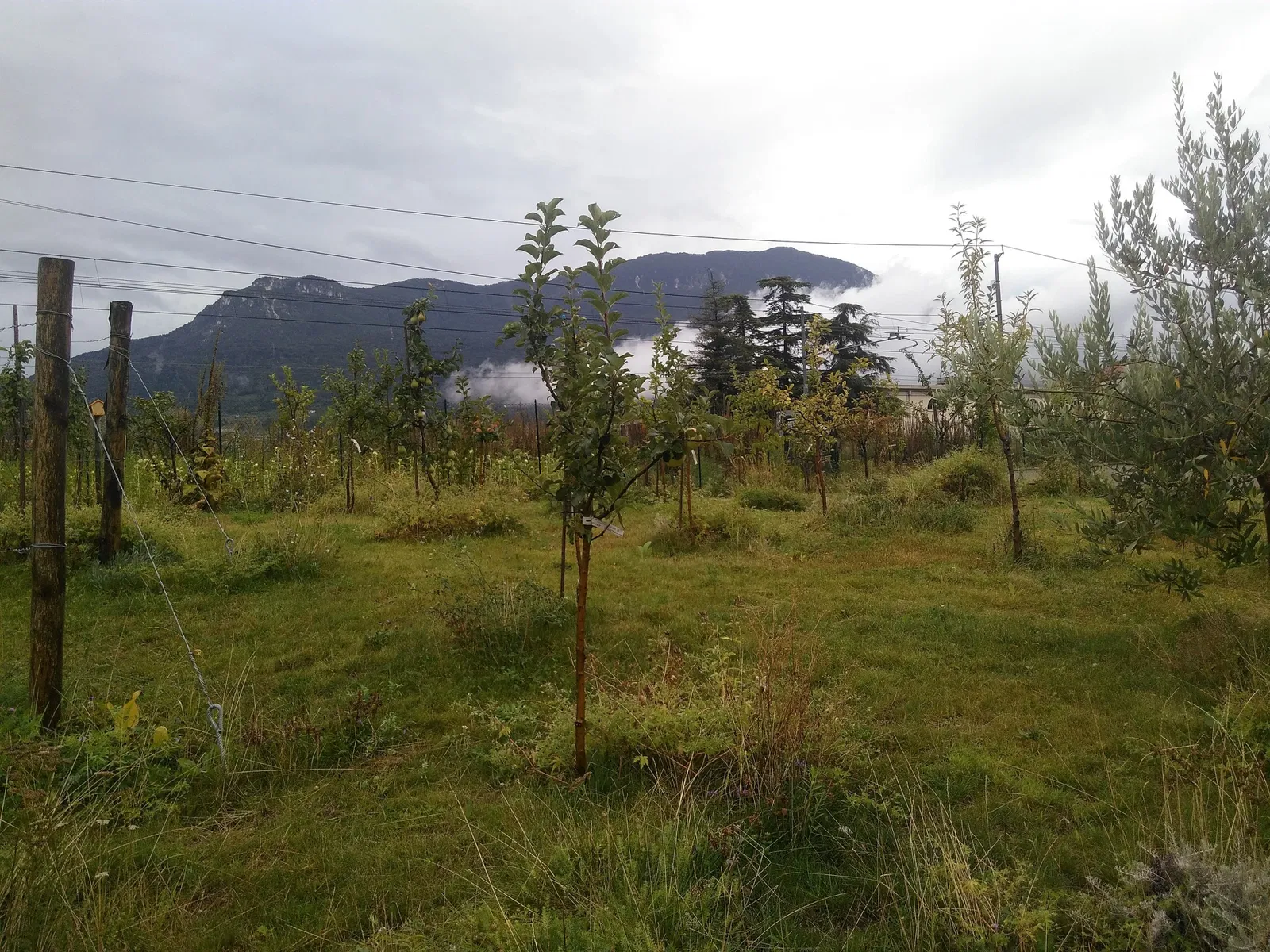 MUSE - Museo delle Scienze di Trento