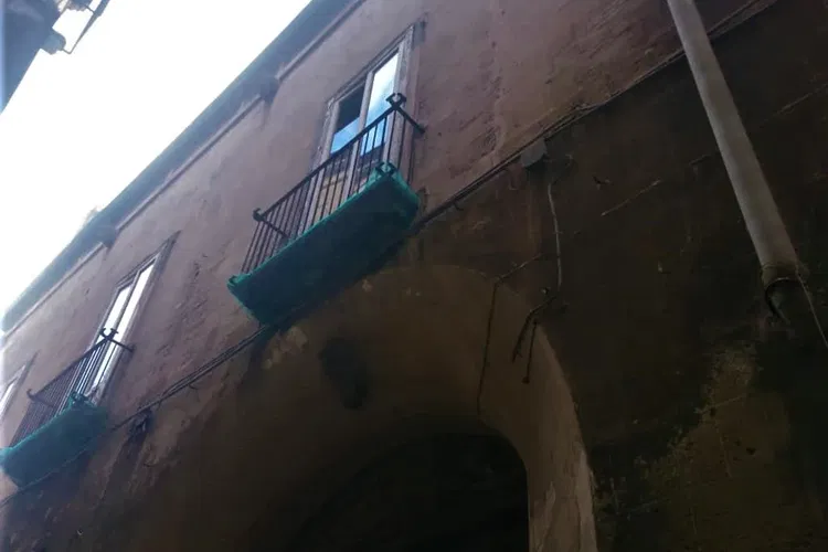 Palazzo Carducci Artenisio