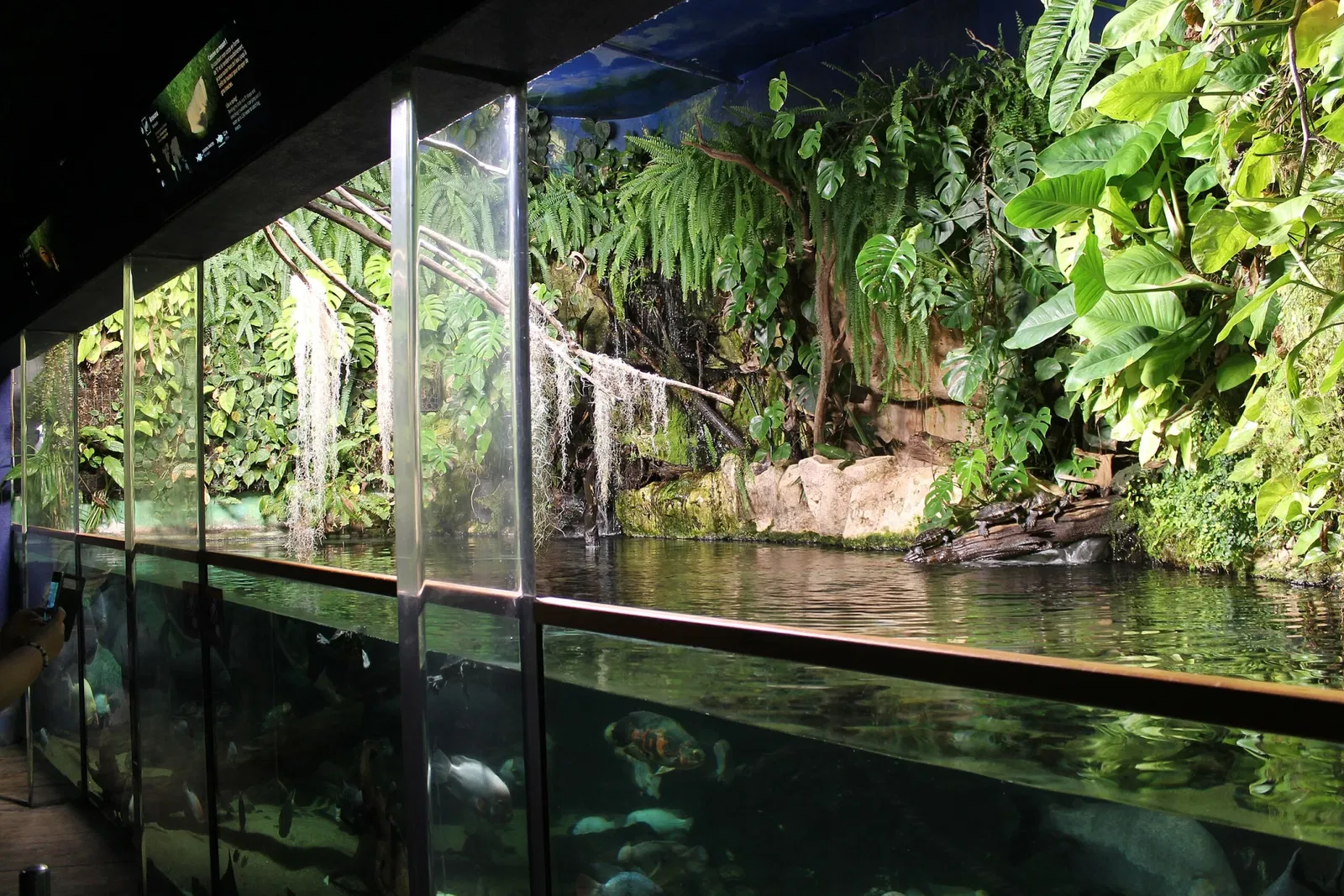 Grand Aquarium Saint-Malo
