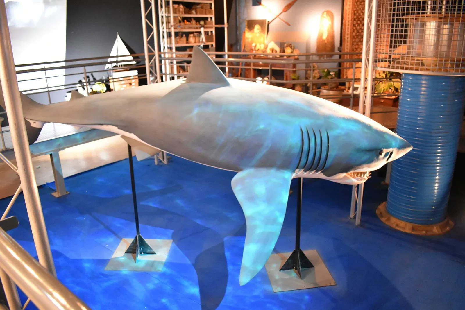 Grand Aquarium Saint Malo