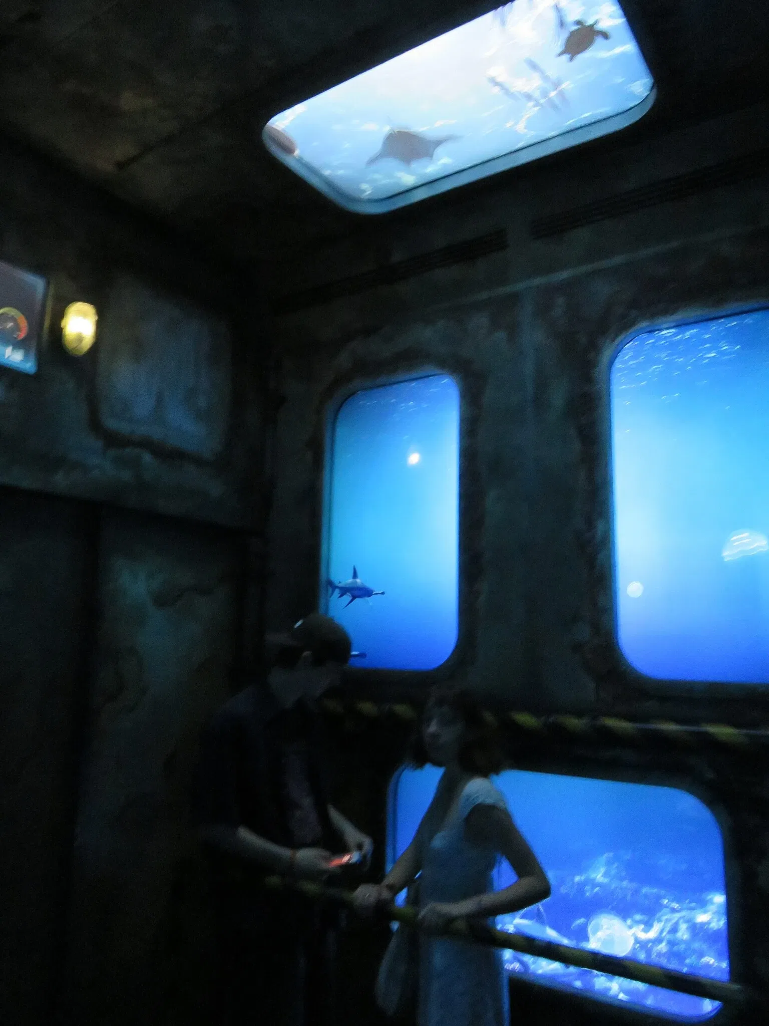 Grand Aquarium Saint Malo