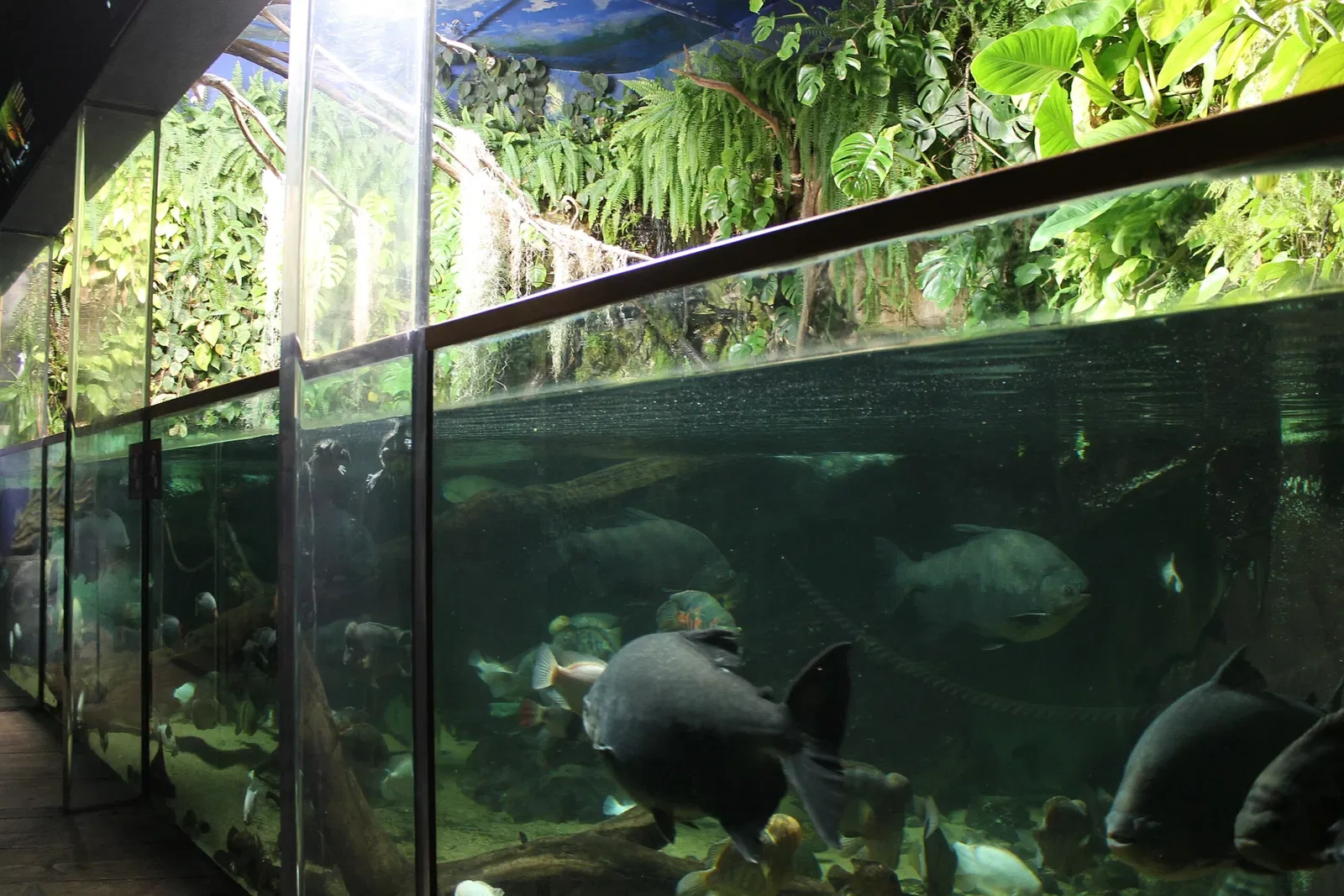 Grand Aquarium Saint Malo