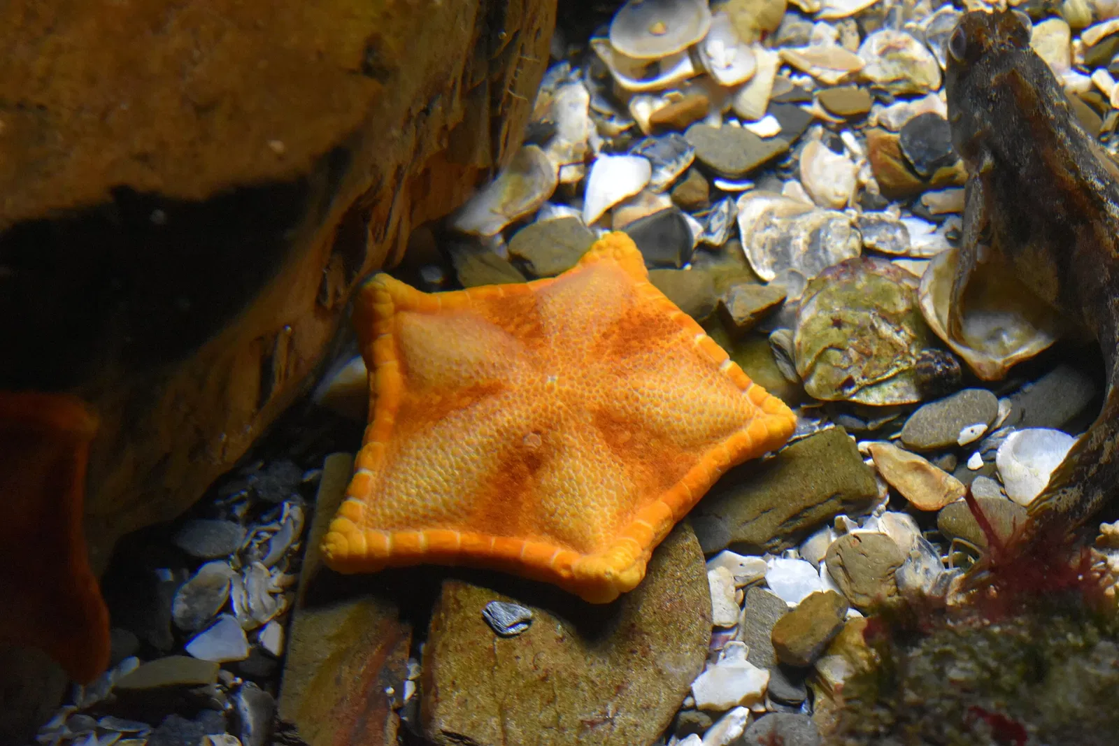 Grand Aquarium Saint-Malo