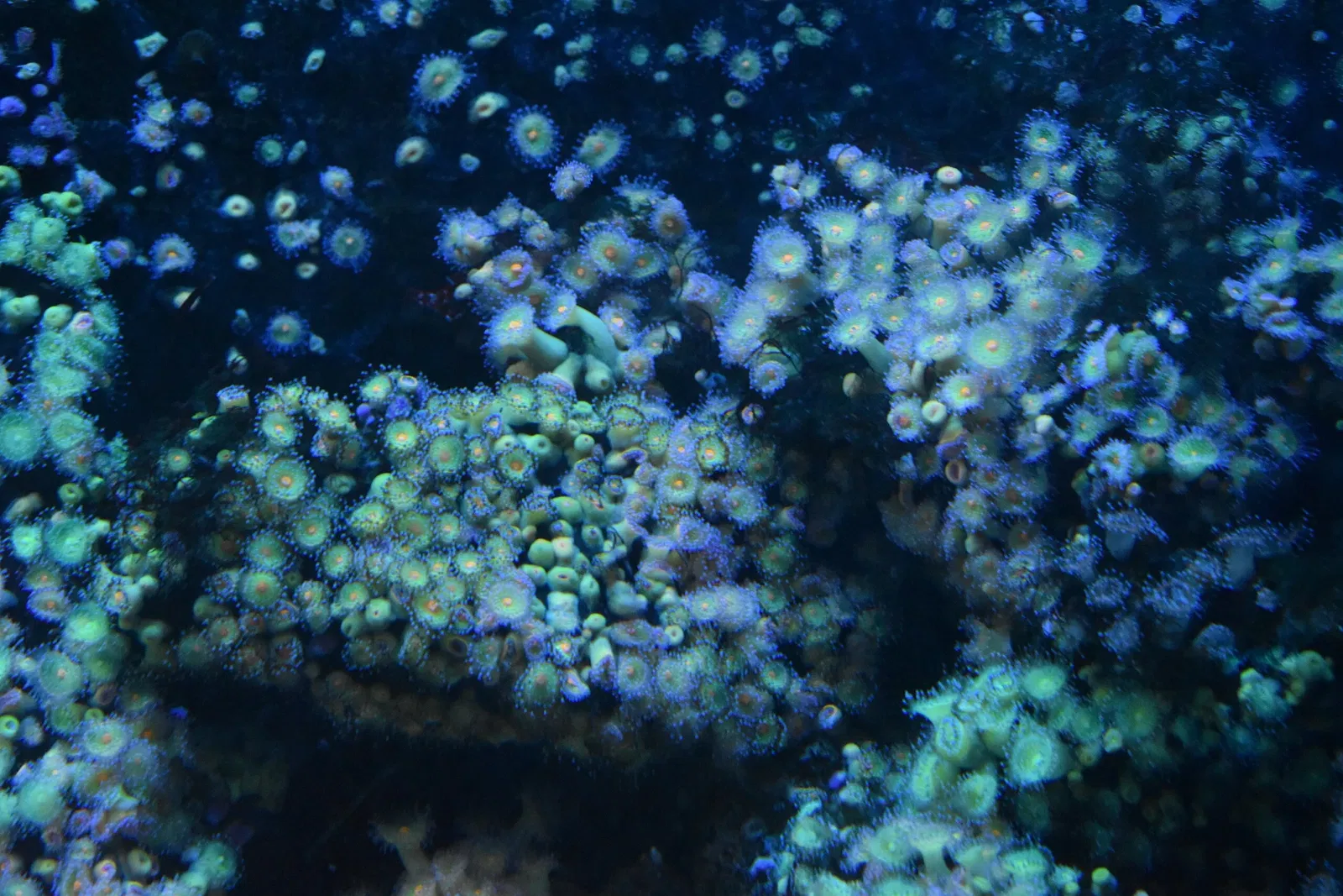 Grand Aquarium Saint Malo