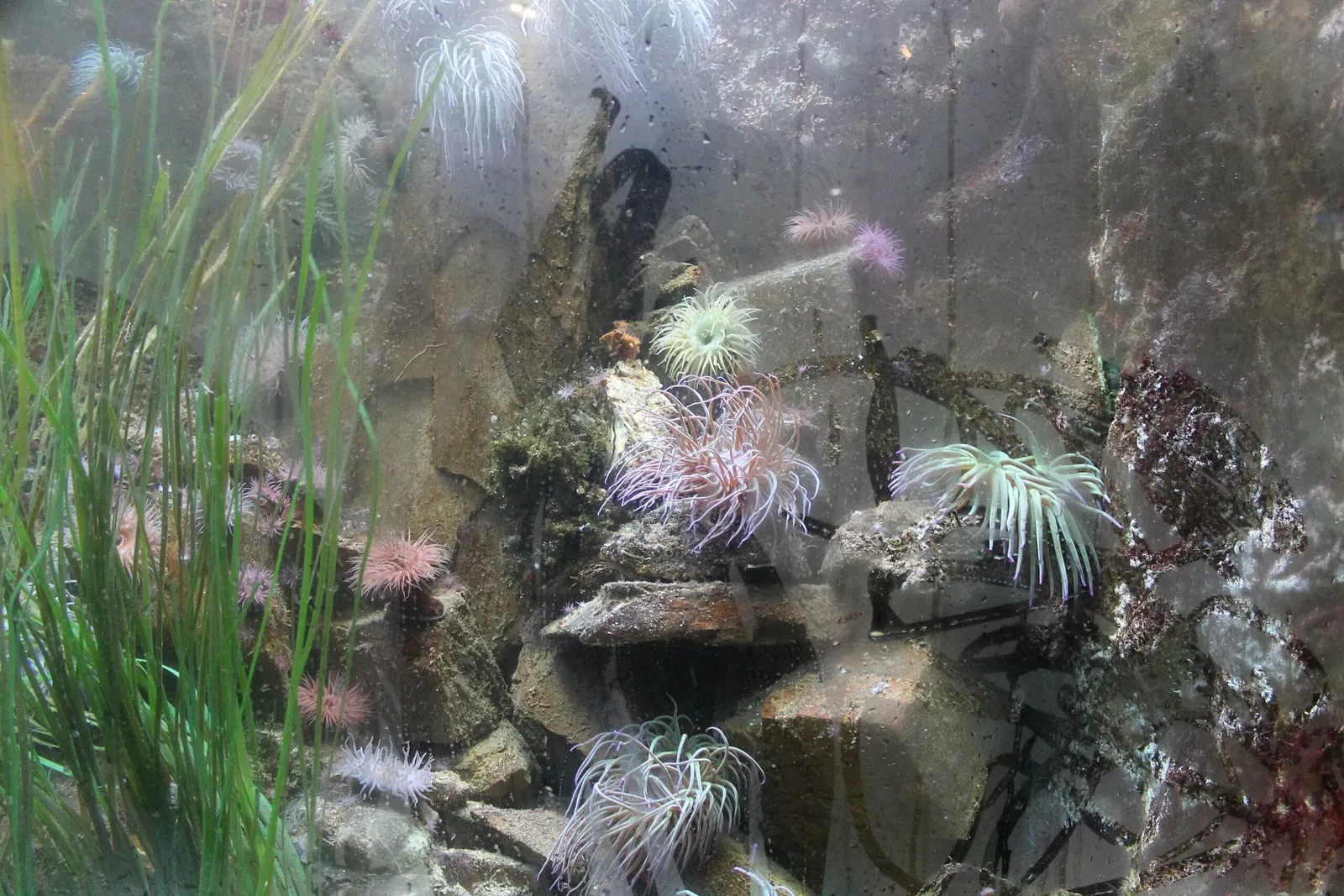 Grand Aquarium Saint-Malo