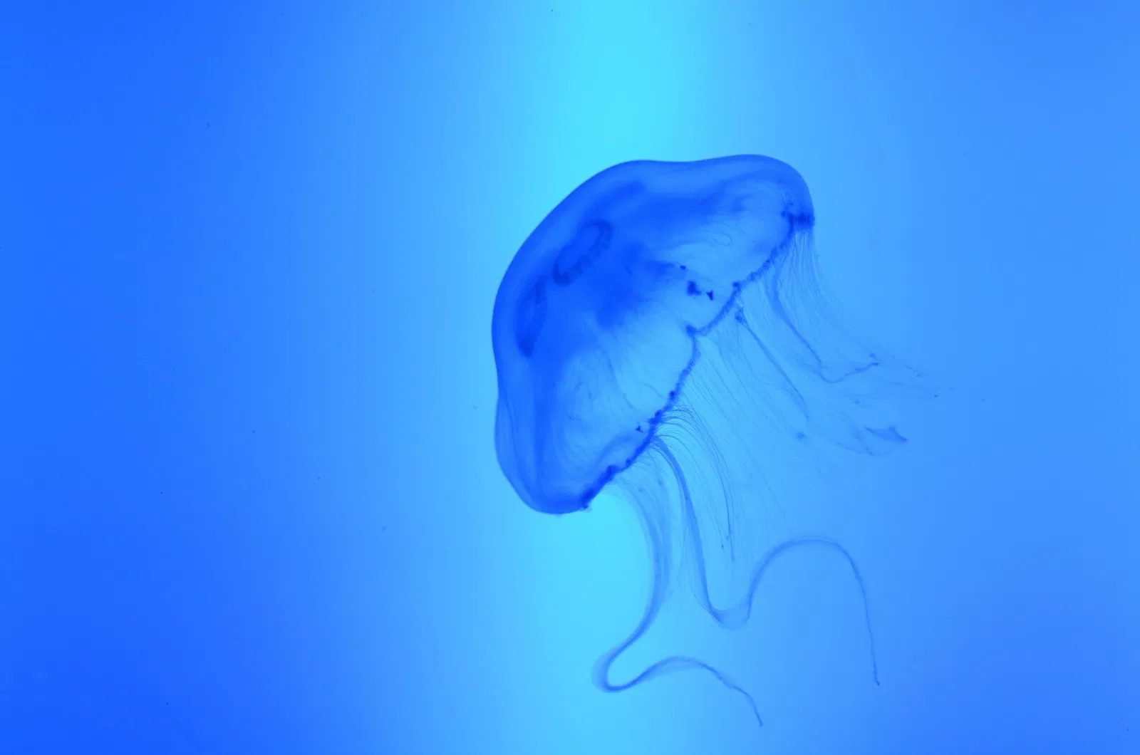 Grand Aquarium Saint Malo