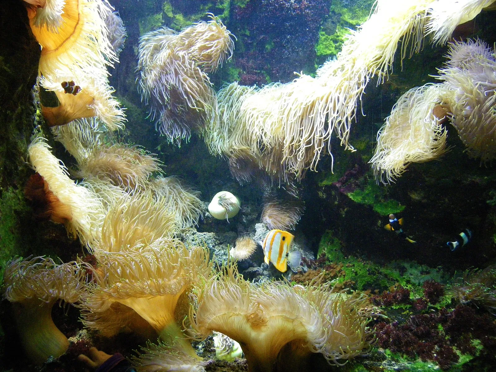 Grand Aquarium Saint-Malo