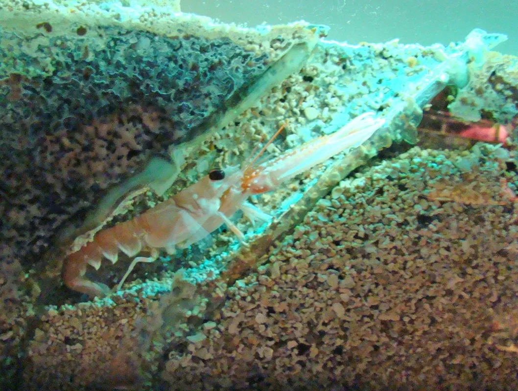 Grand Aquarium Saint Malo