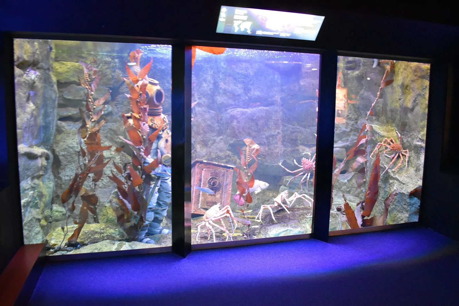 Grand Aquarium Saint Malo