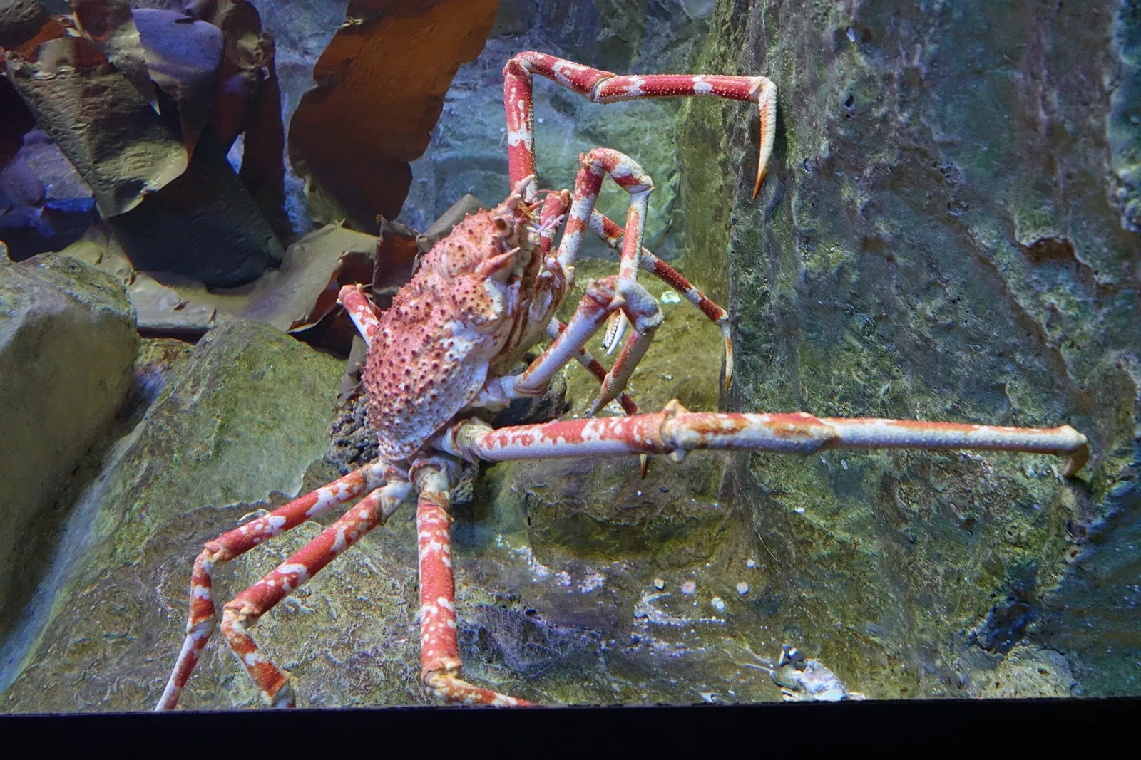 Grand Aquarium Saint Malo