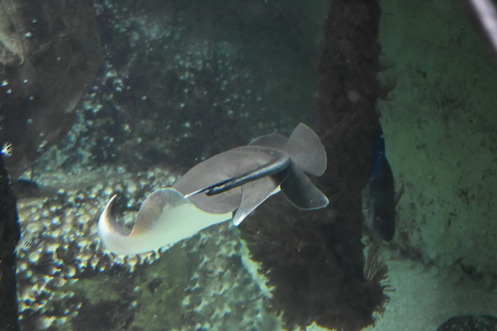 Grand Aquarium Saint Malo