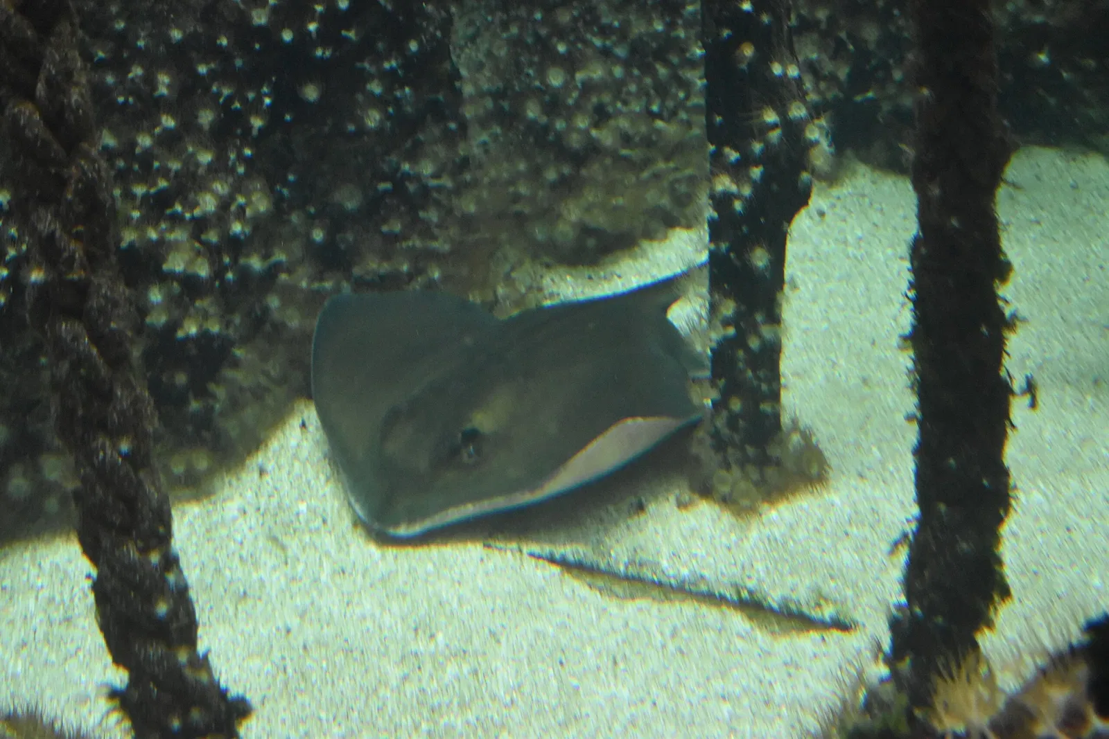 Grand Aquarium Saint-Malo