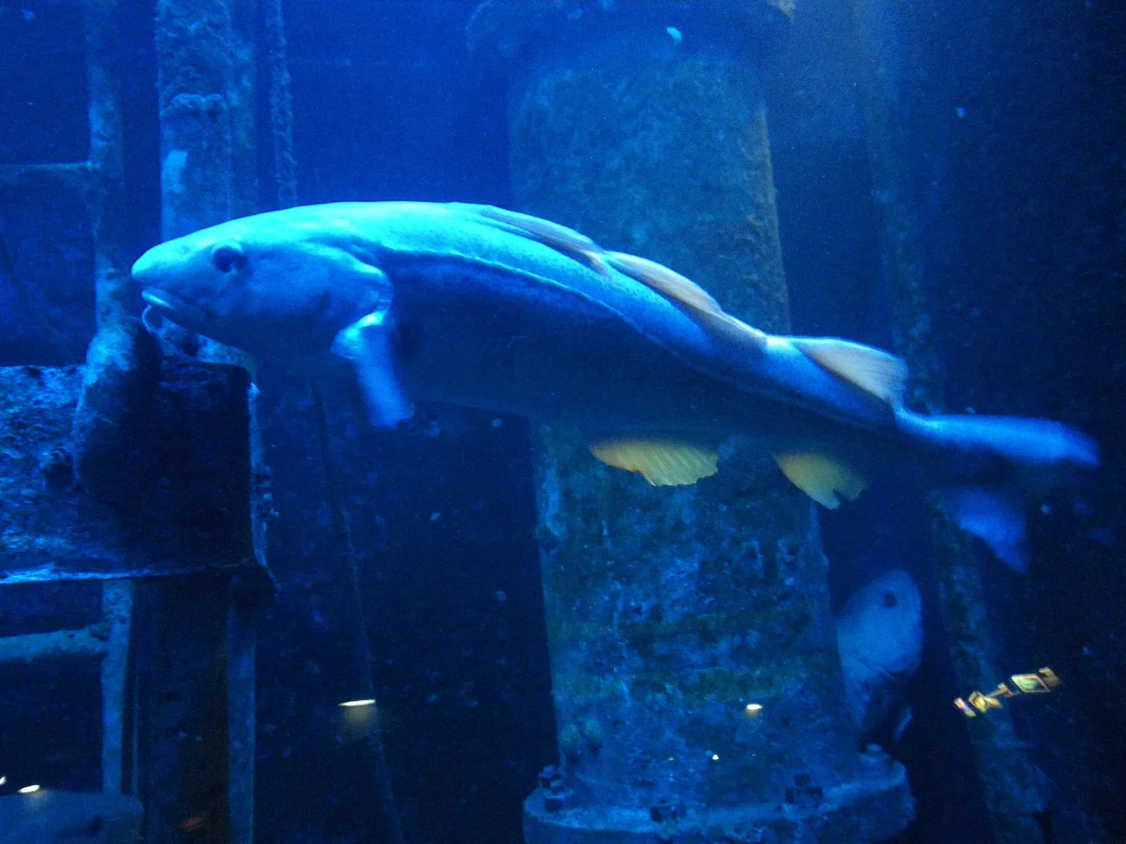Grand Aquarium Saint-Malo