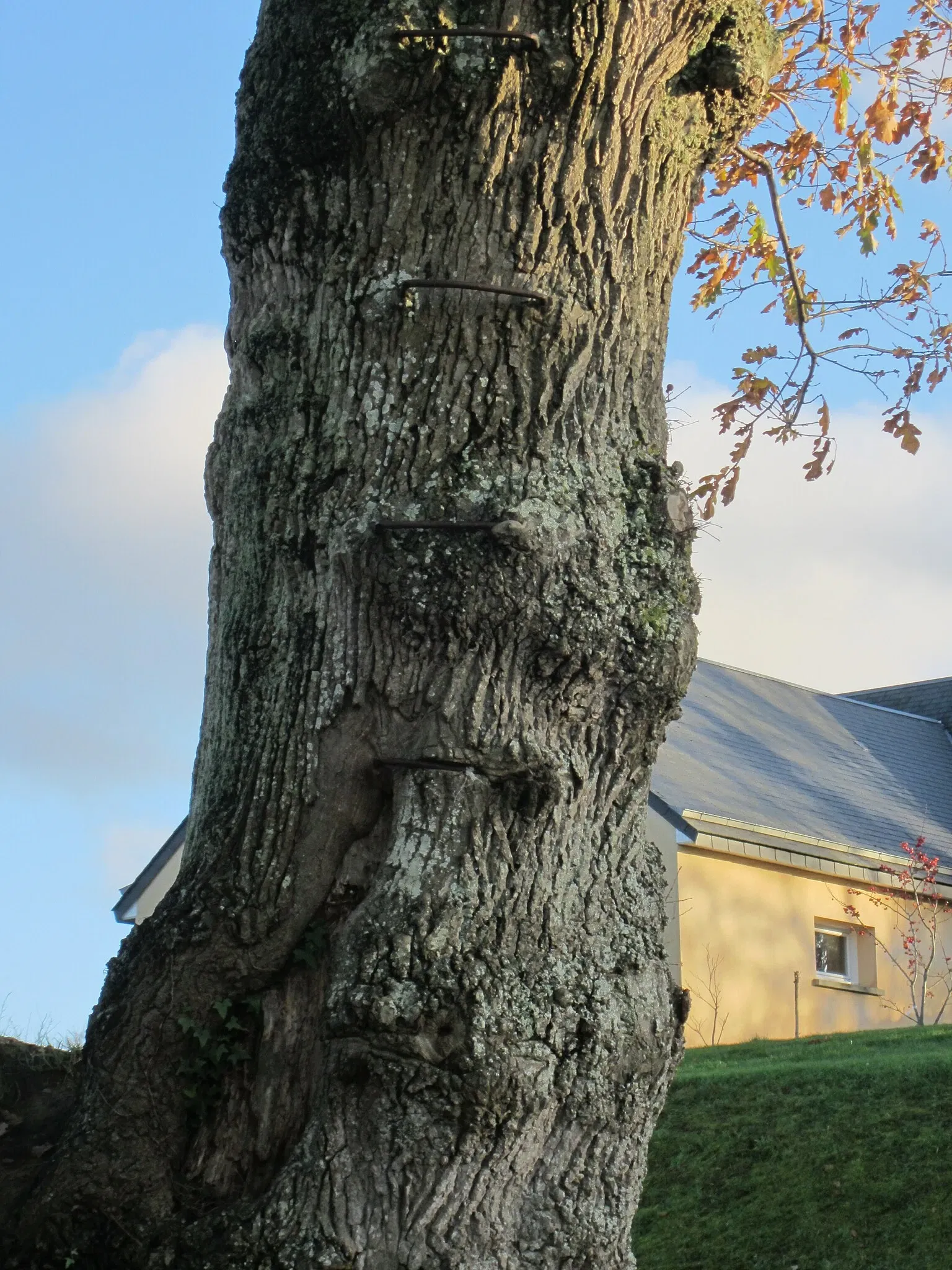Musée du Bocage Normand