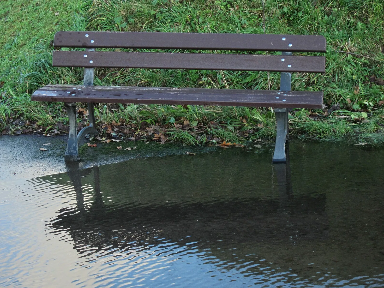 Norman Bocage Museum