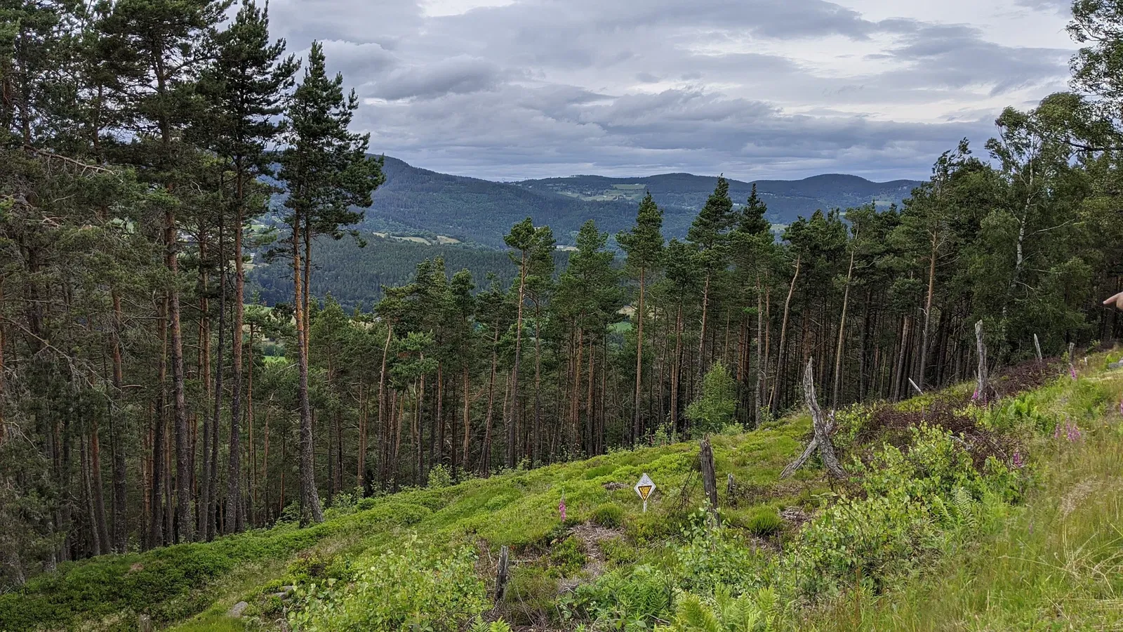 Linge Memorial Museum