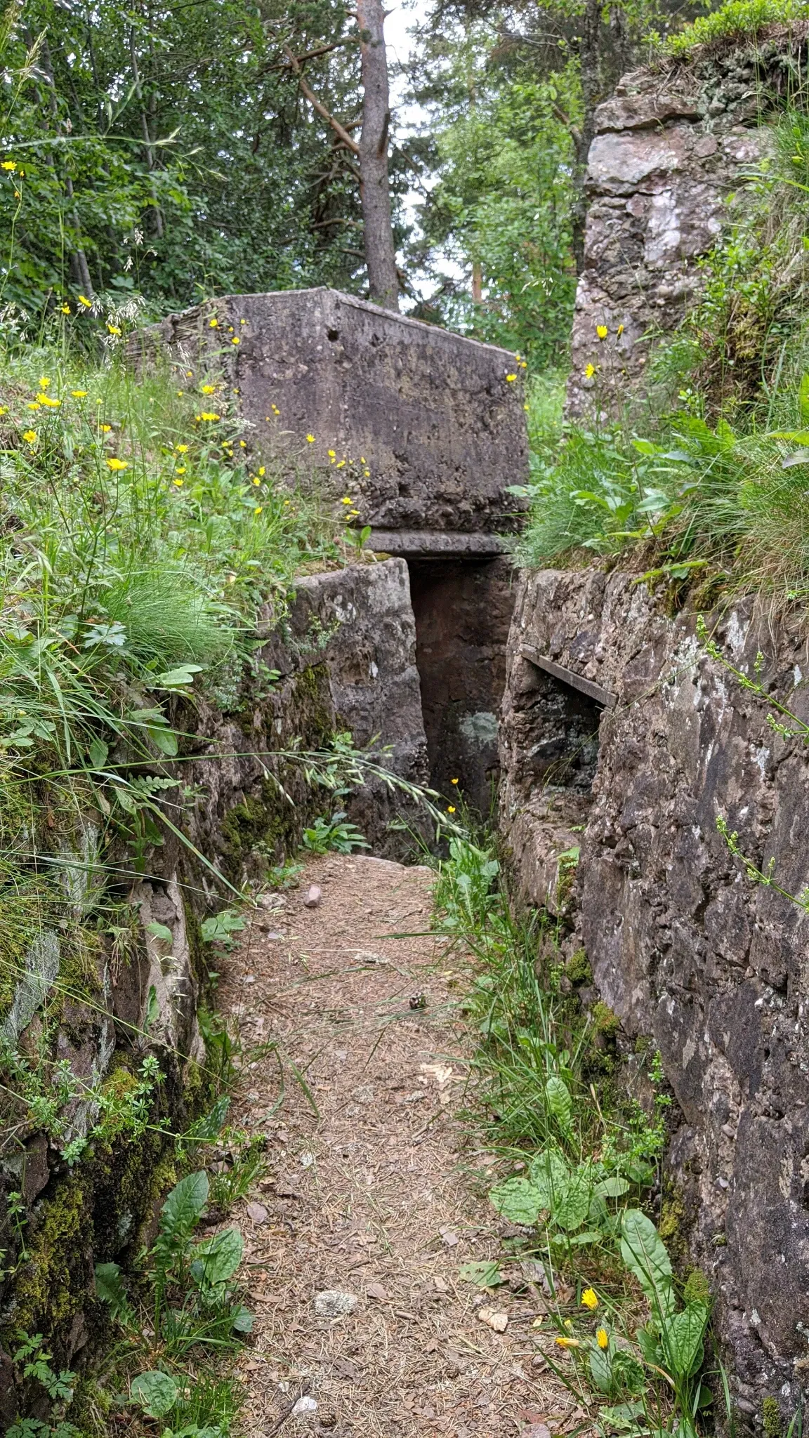 Linge Memorial Museum