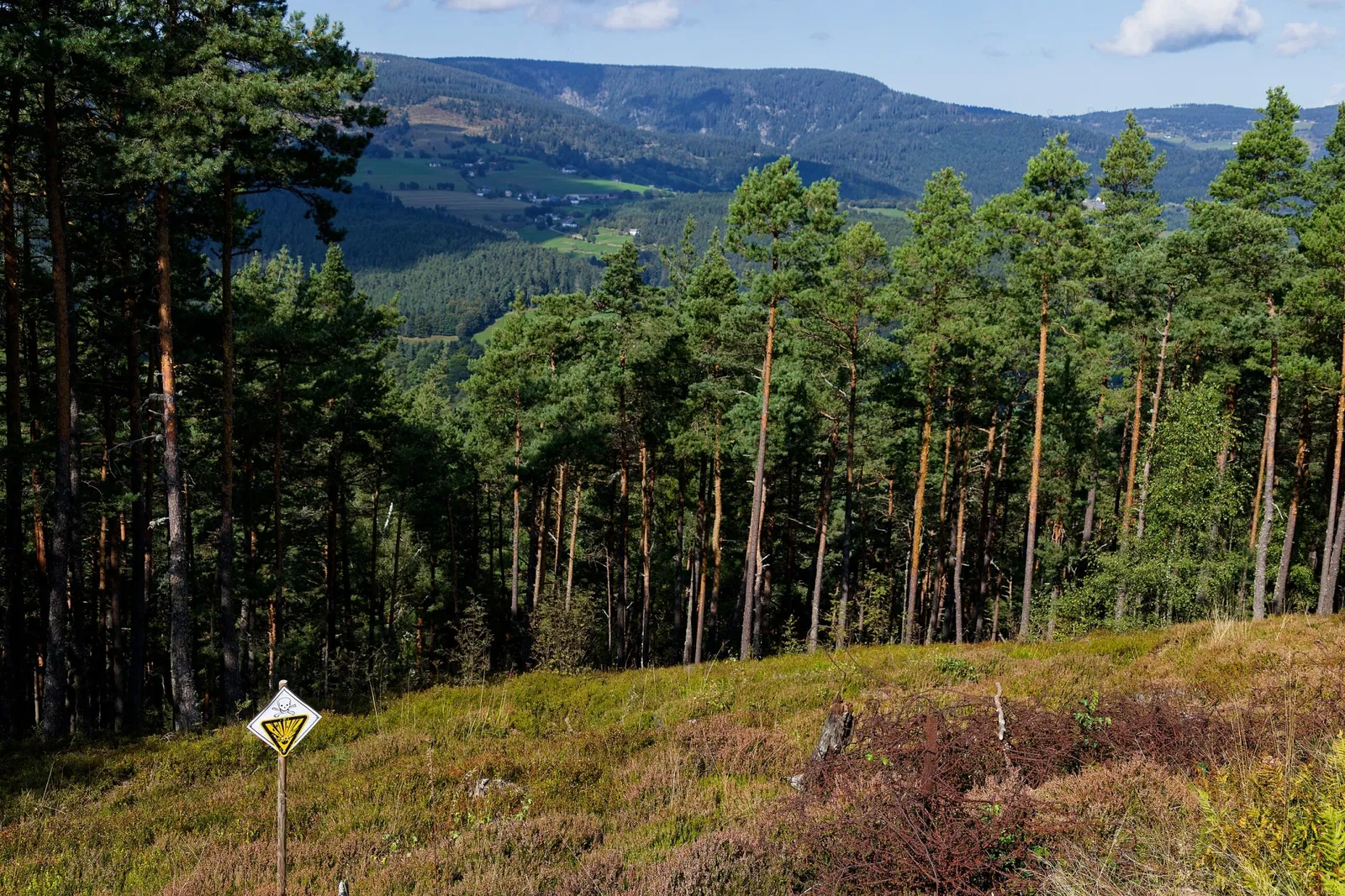 Musée Mémorial du Linge