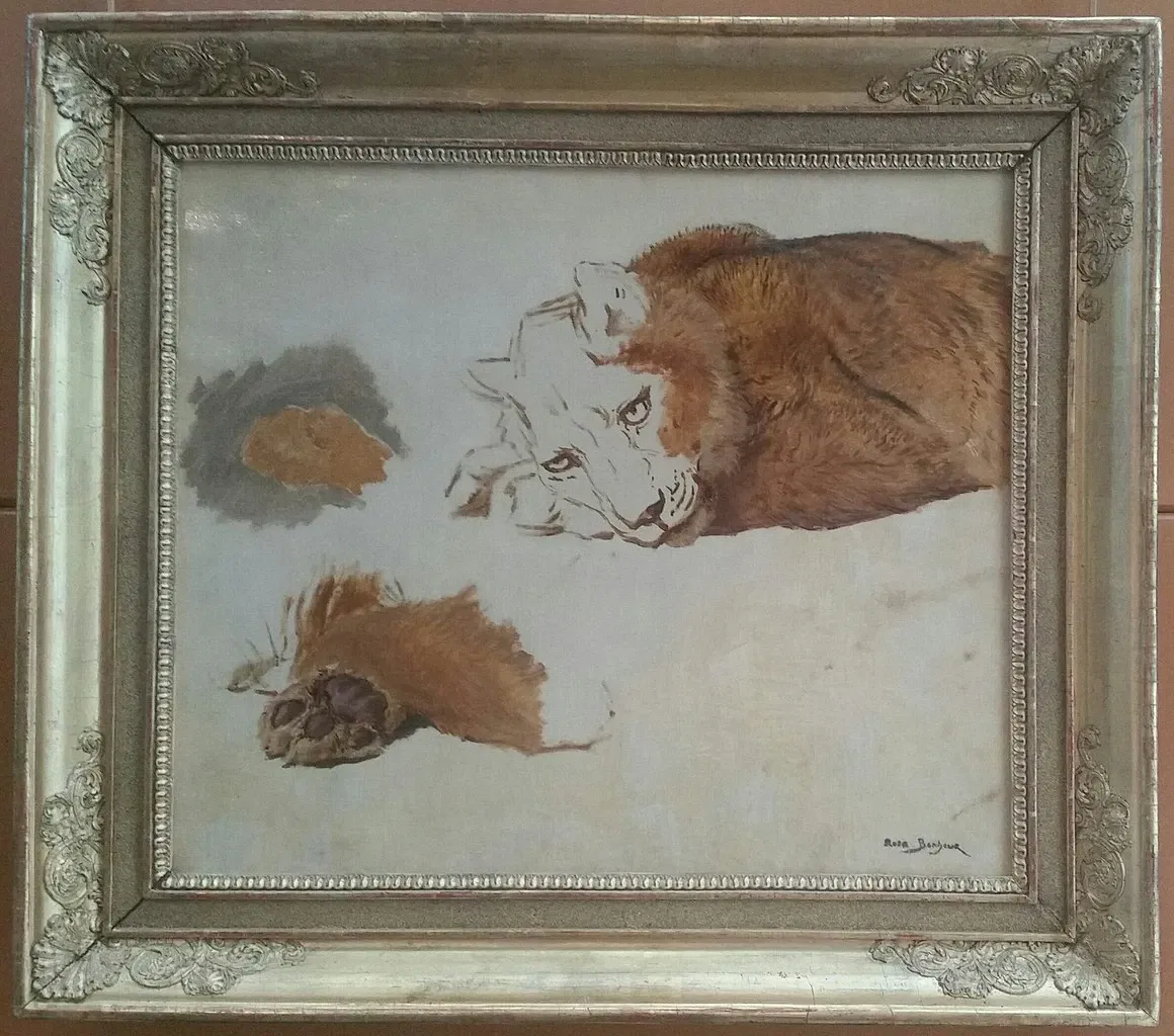 Museum of Art and History