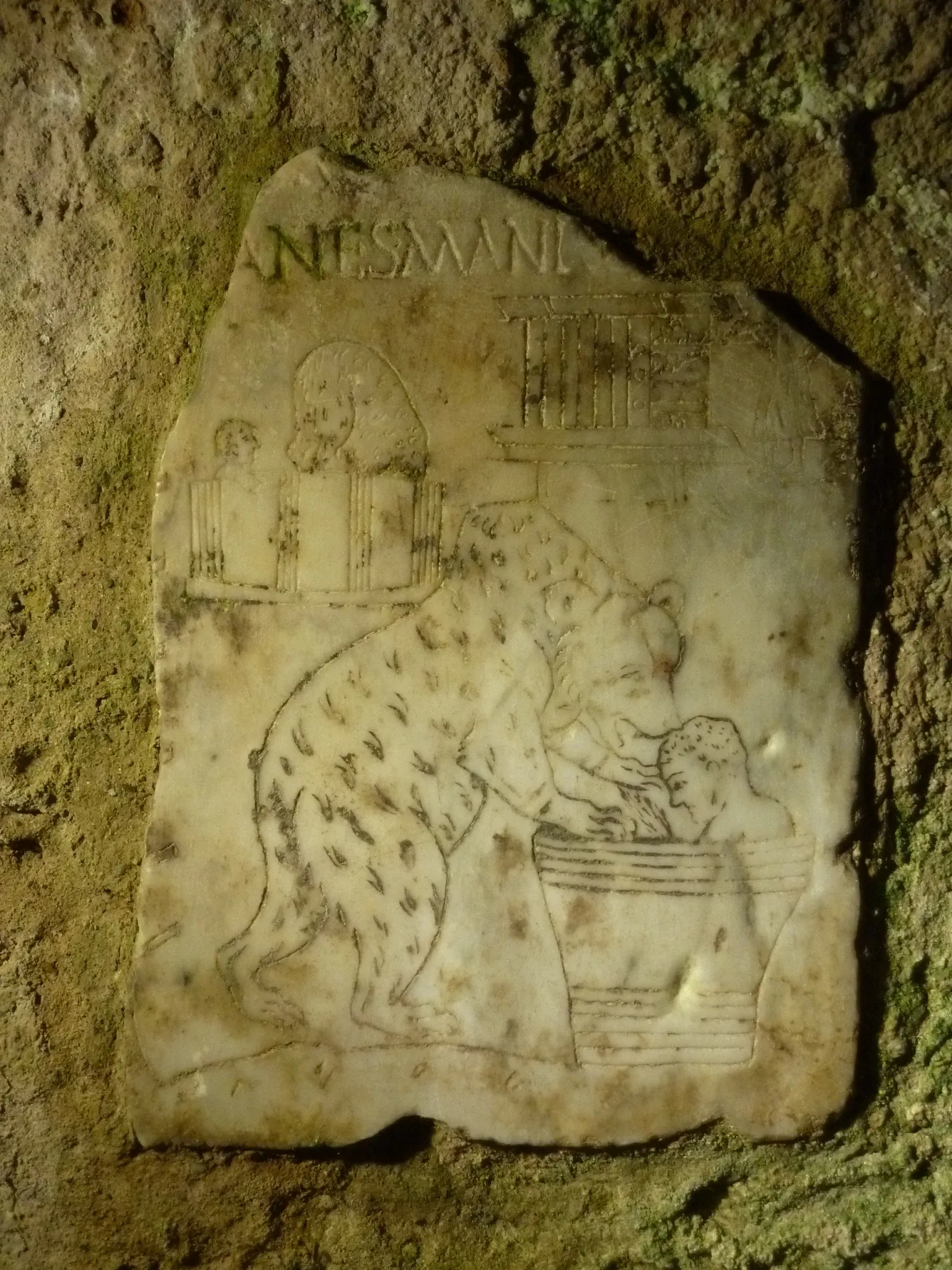 Roman Granary Museum