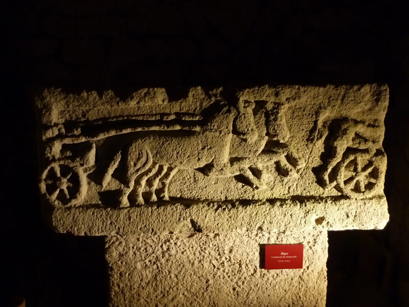 Roman Granary Museum