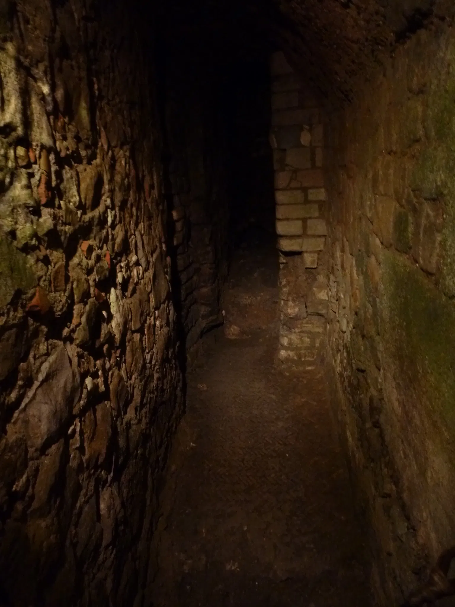 Roman Granary Museum