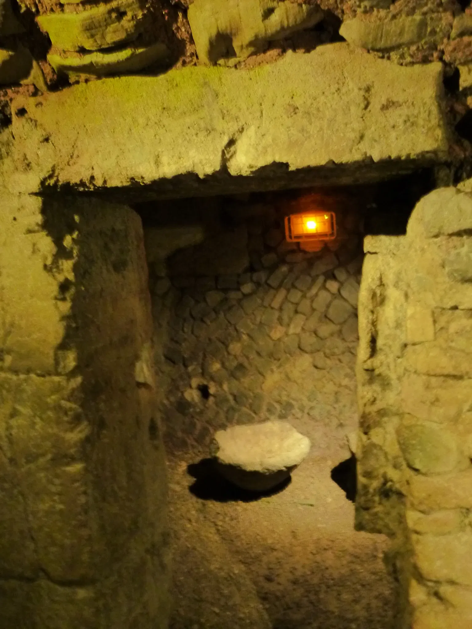 Roman Granary Museum