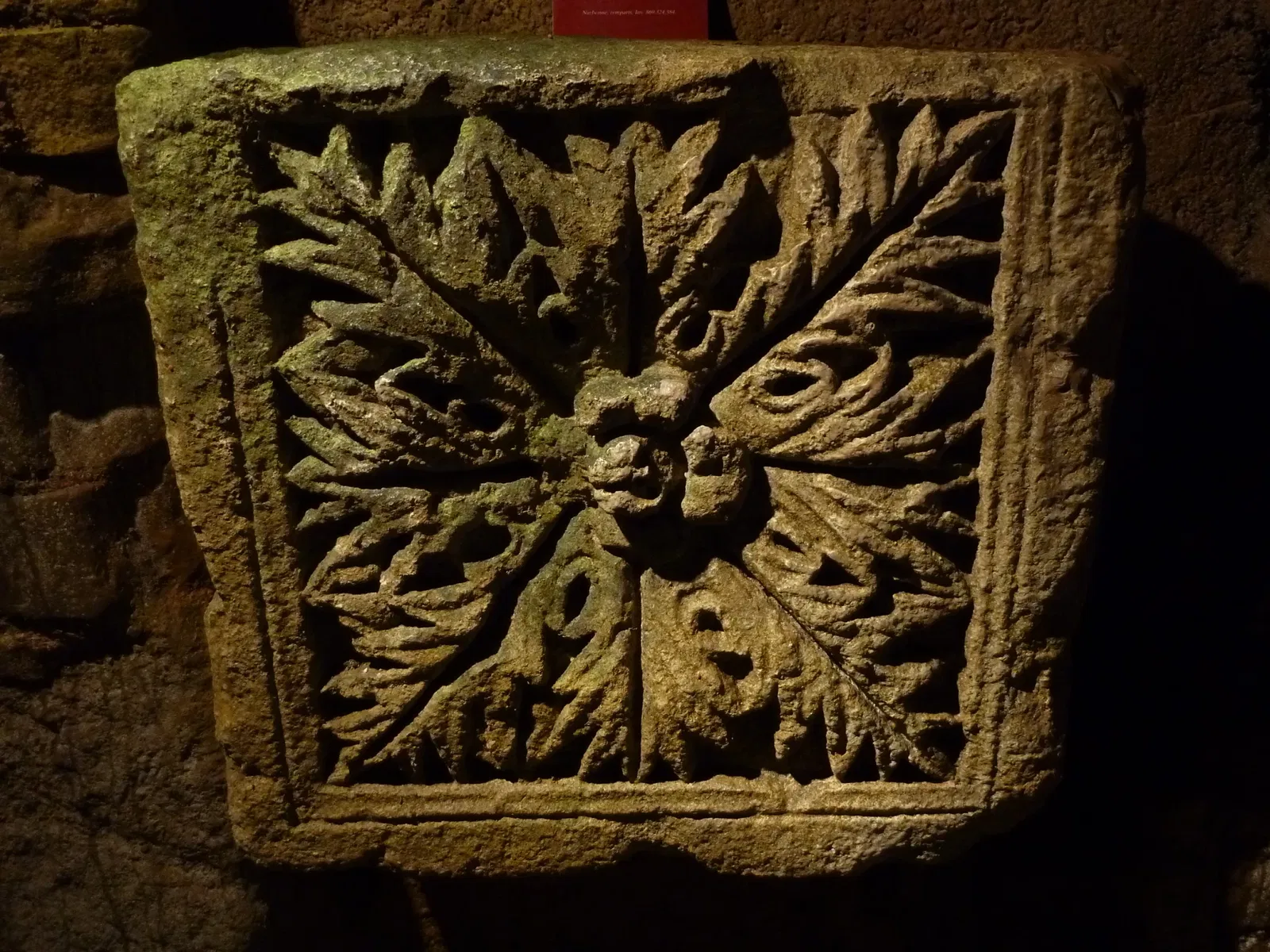 Roman Granary Museum