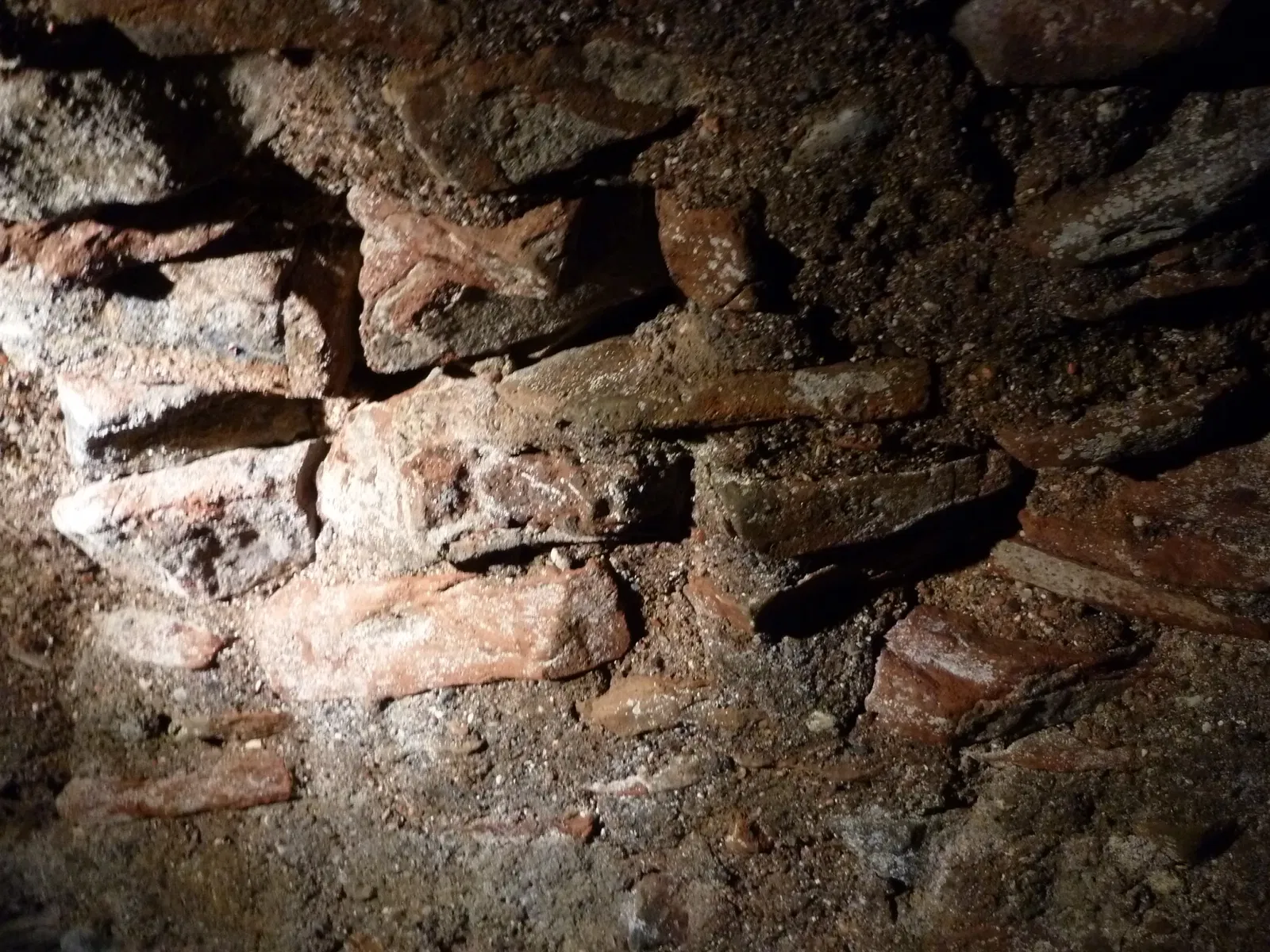 Roman Granary Museum