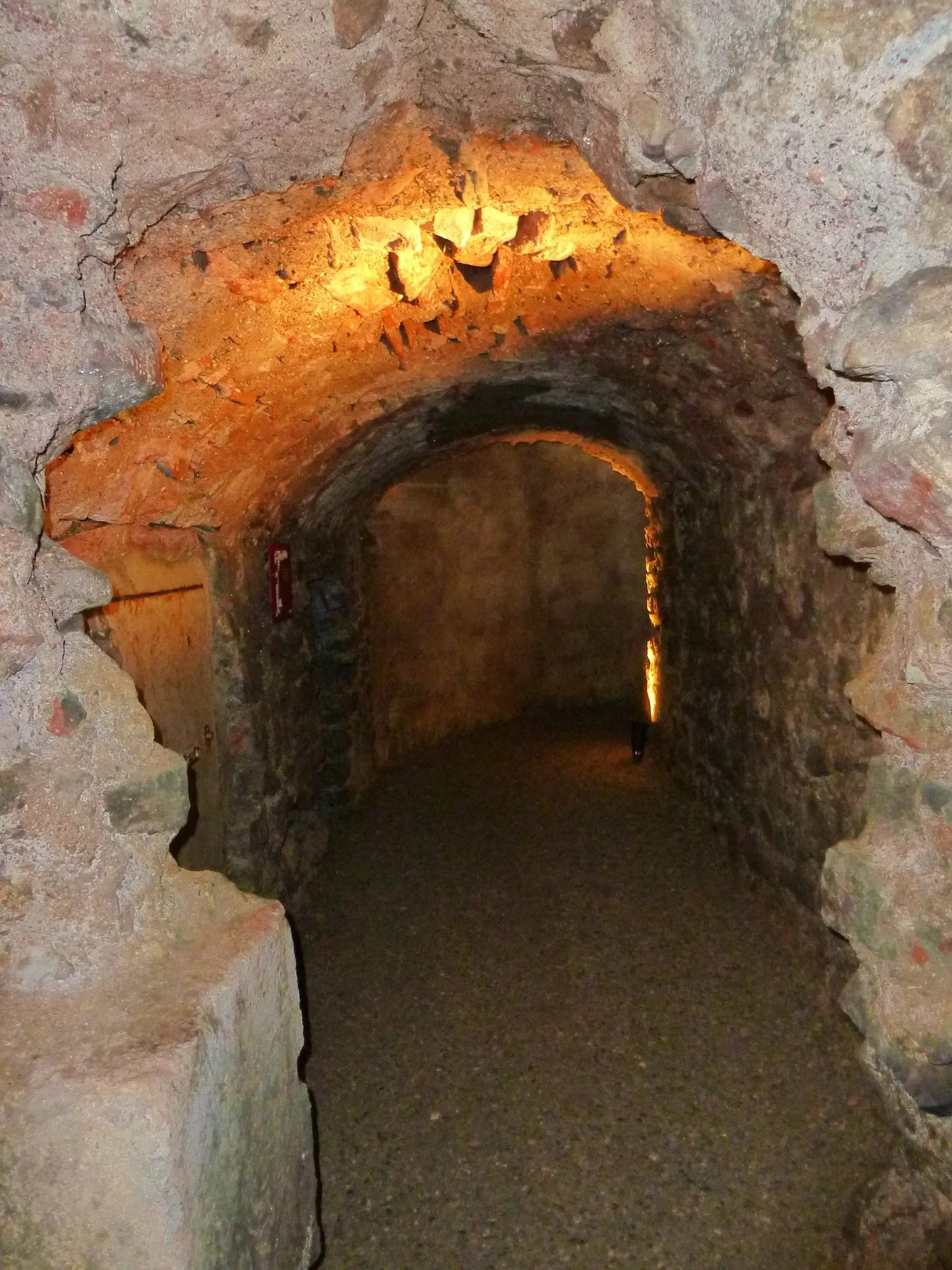 Roman Granary Museum