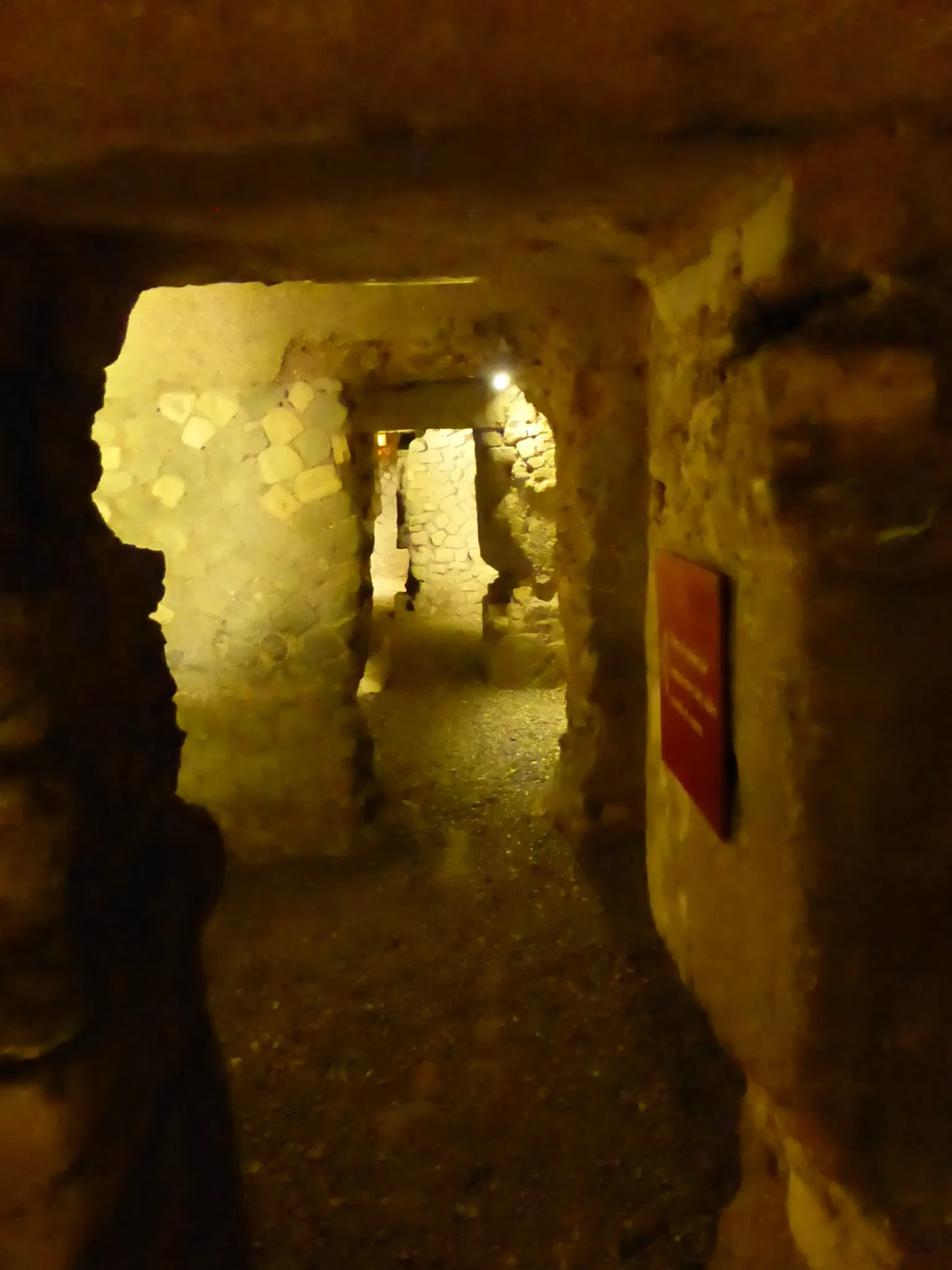 Roman Granary Museum