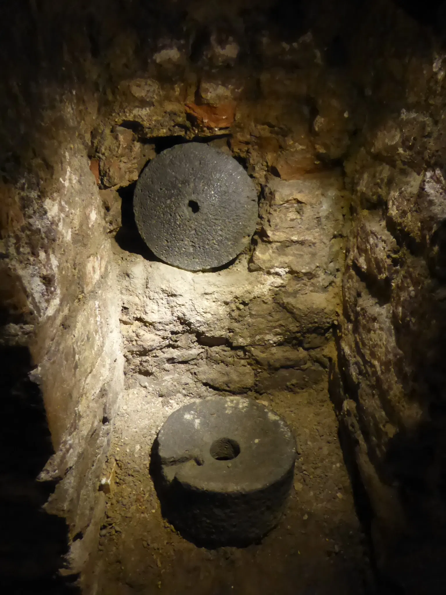 Roman Granary Museum